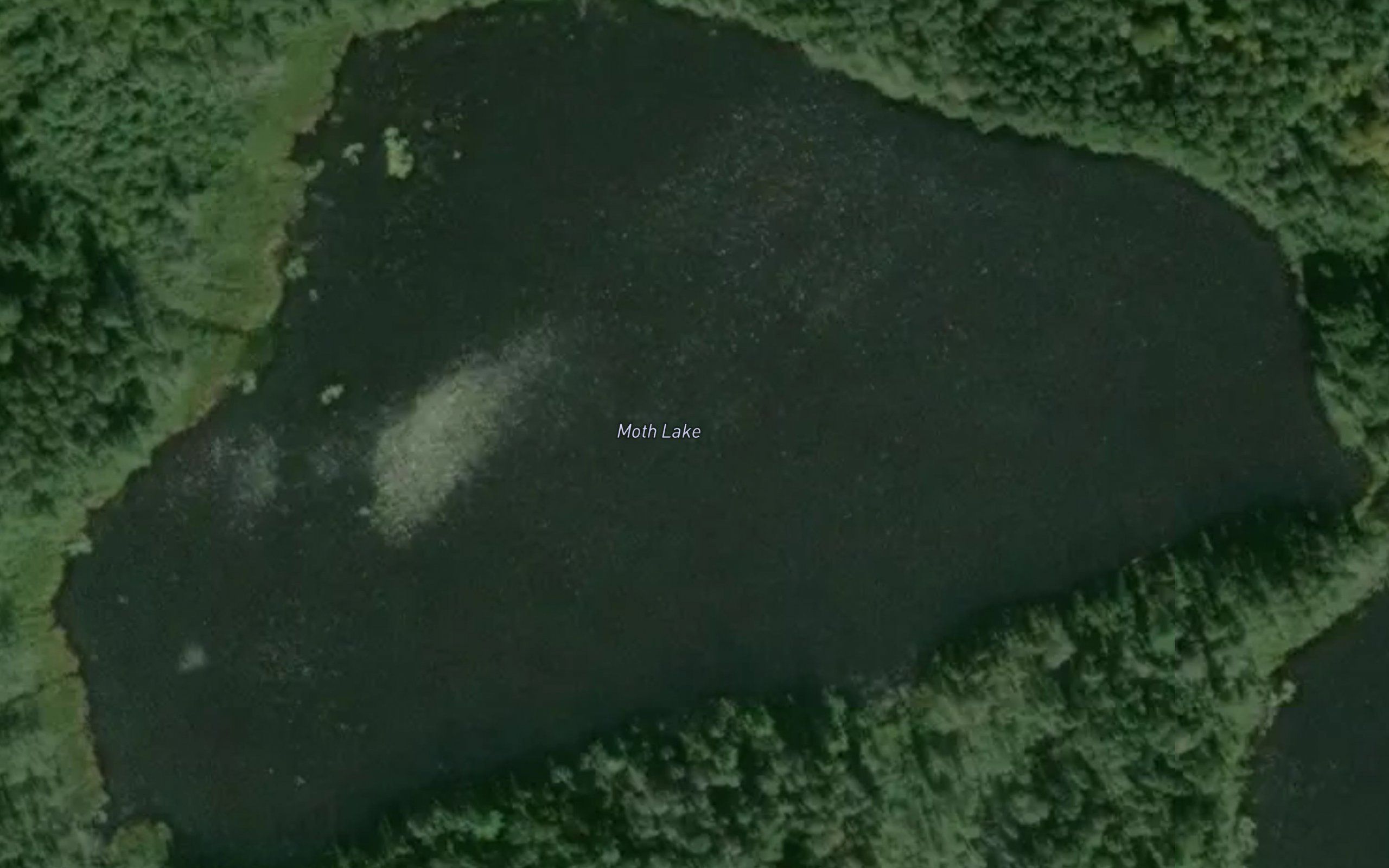 Moth Lake