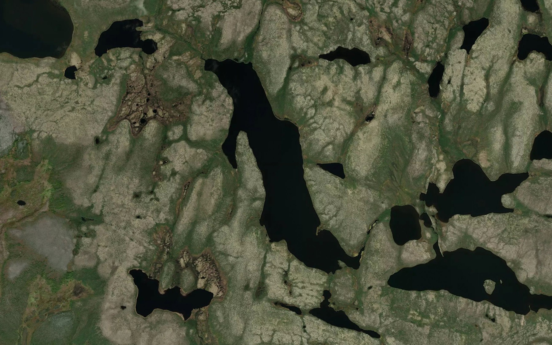 Satellite map of the Treleaven Lake