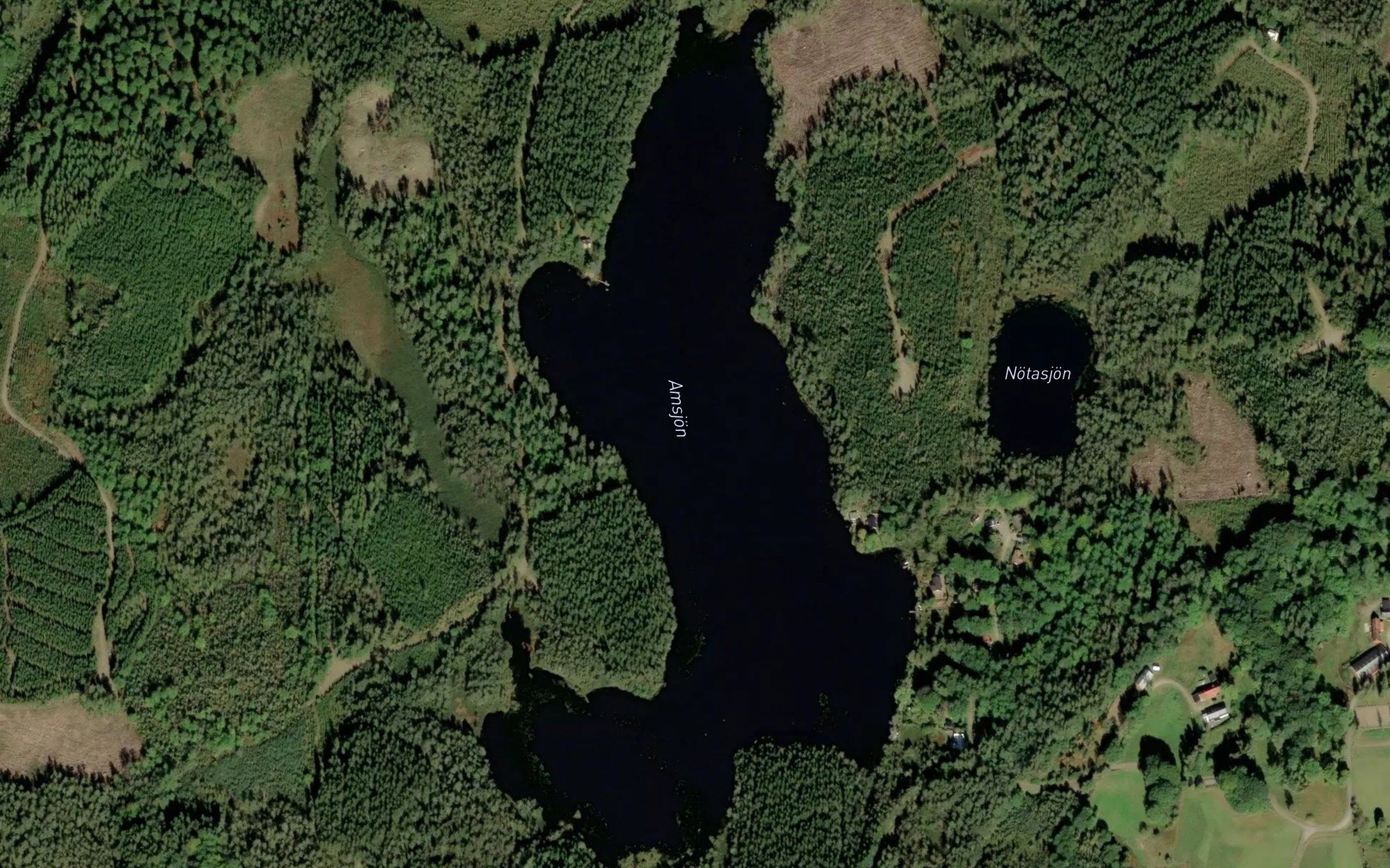 Amsjoen