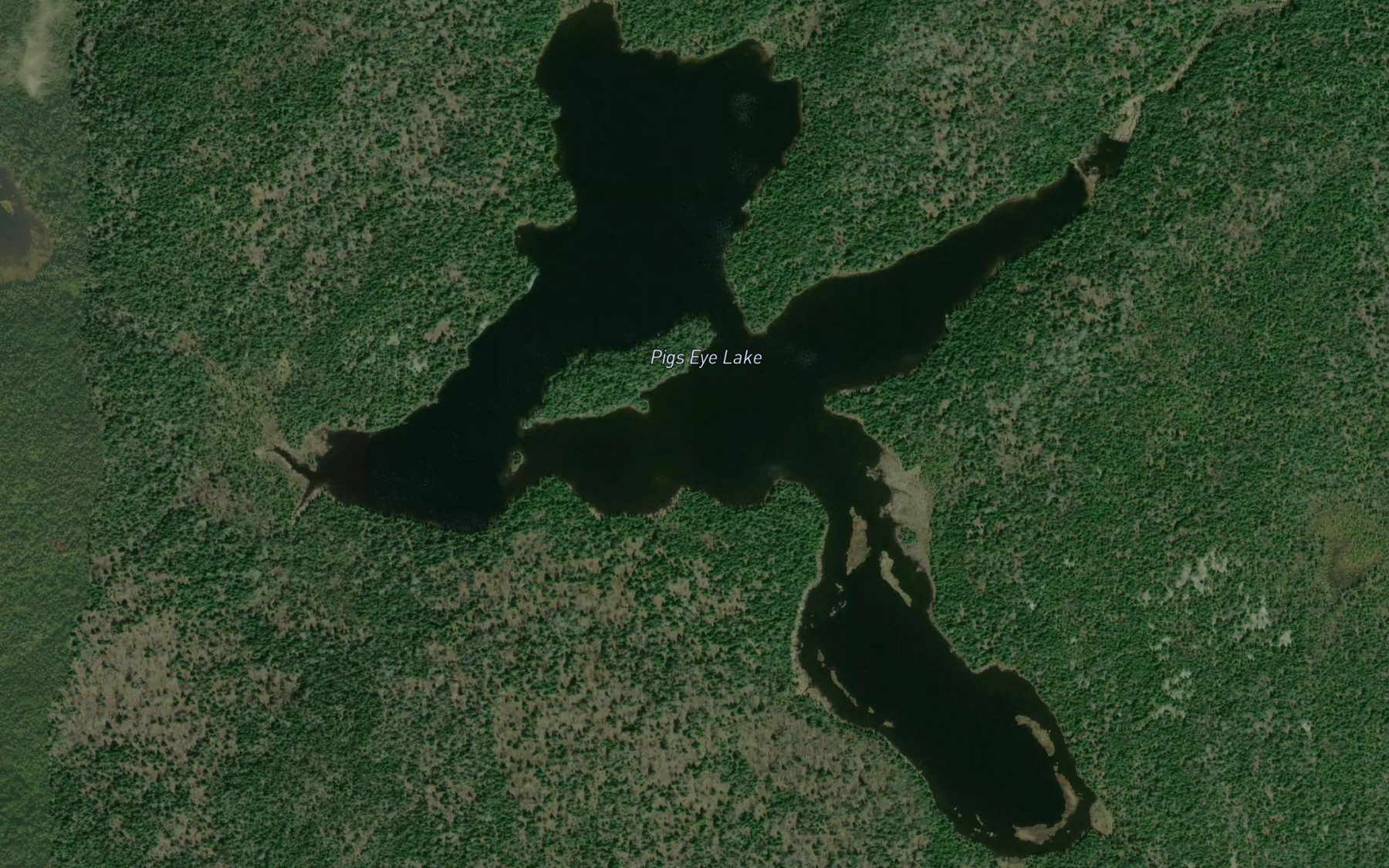 Satellite map of the Pigs Eye Lake