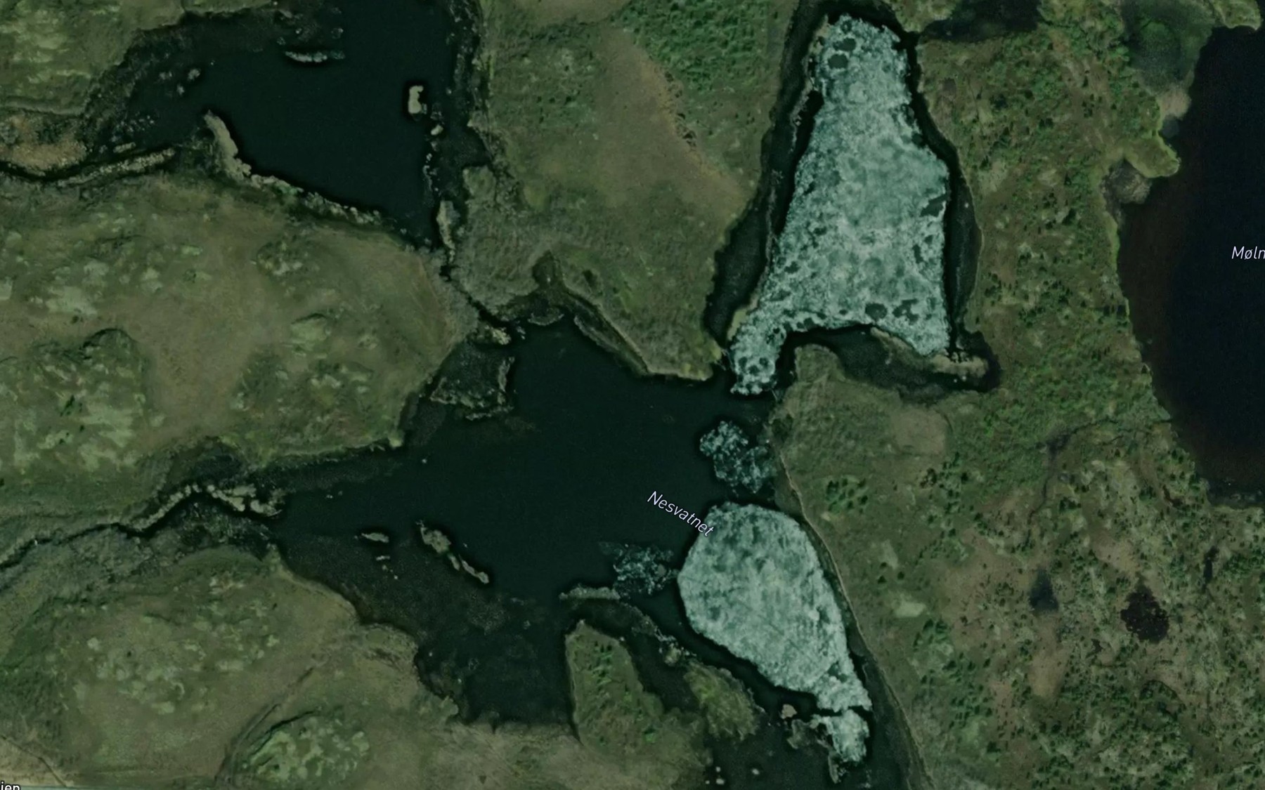 Satellite map of the Nesvatnan