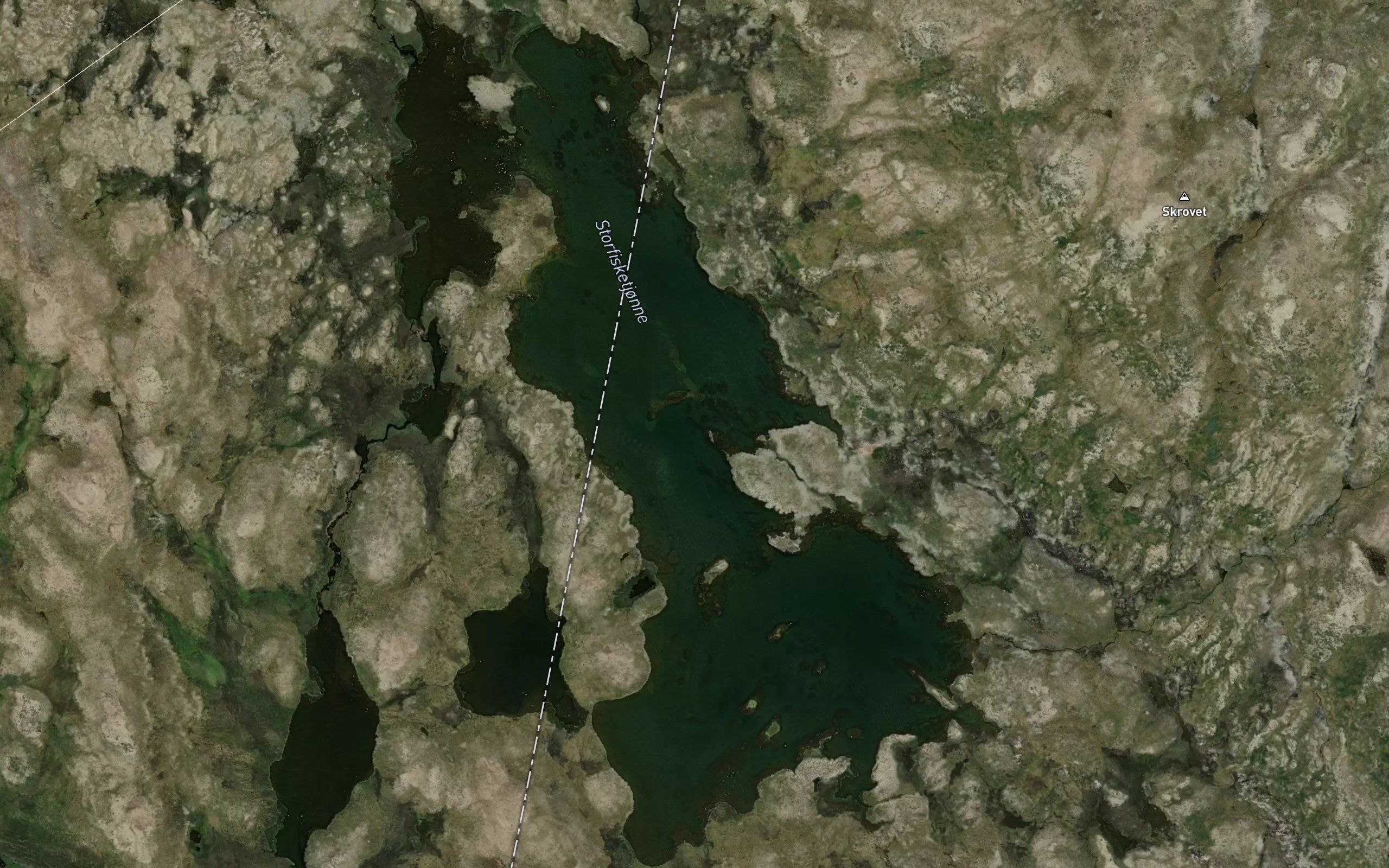 Storfisketjorni