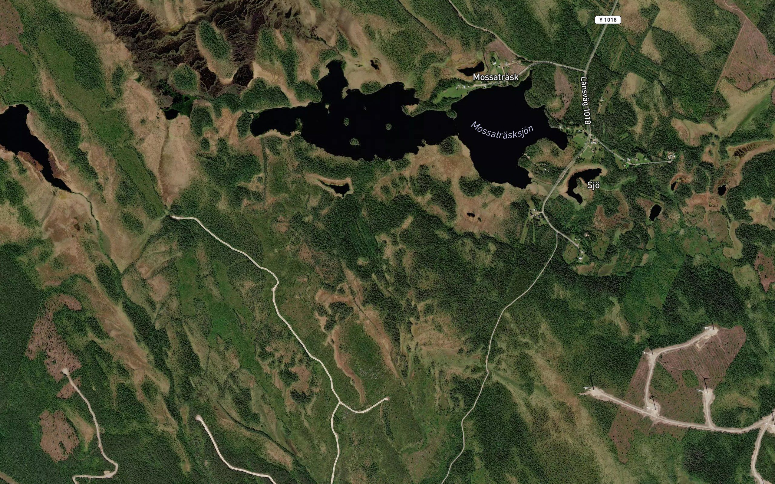 Mossatrasksjon