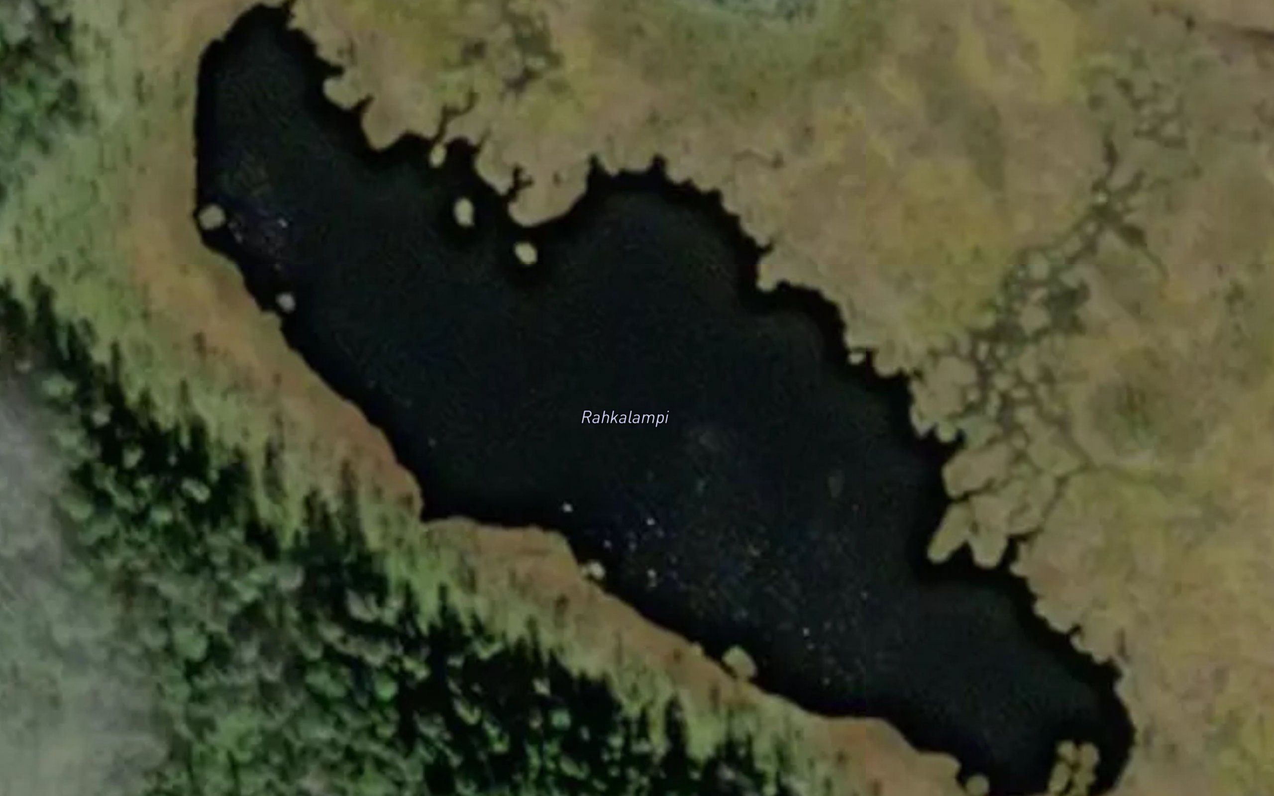Rahkalampi