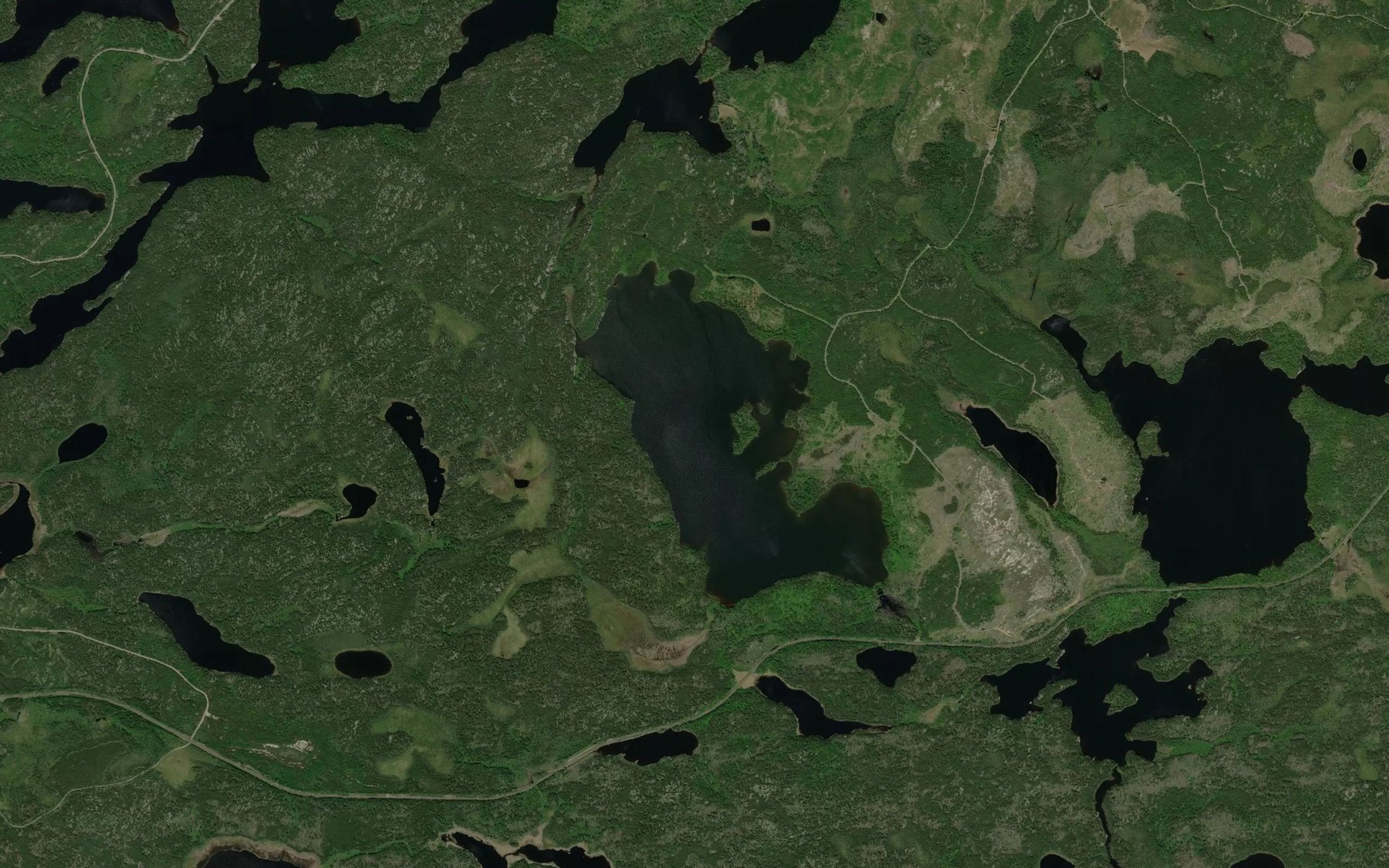 Satellite map of the Caribou Lake