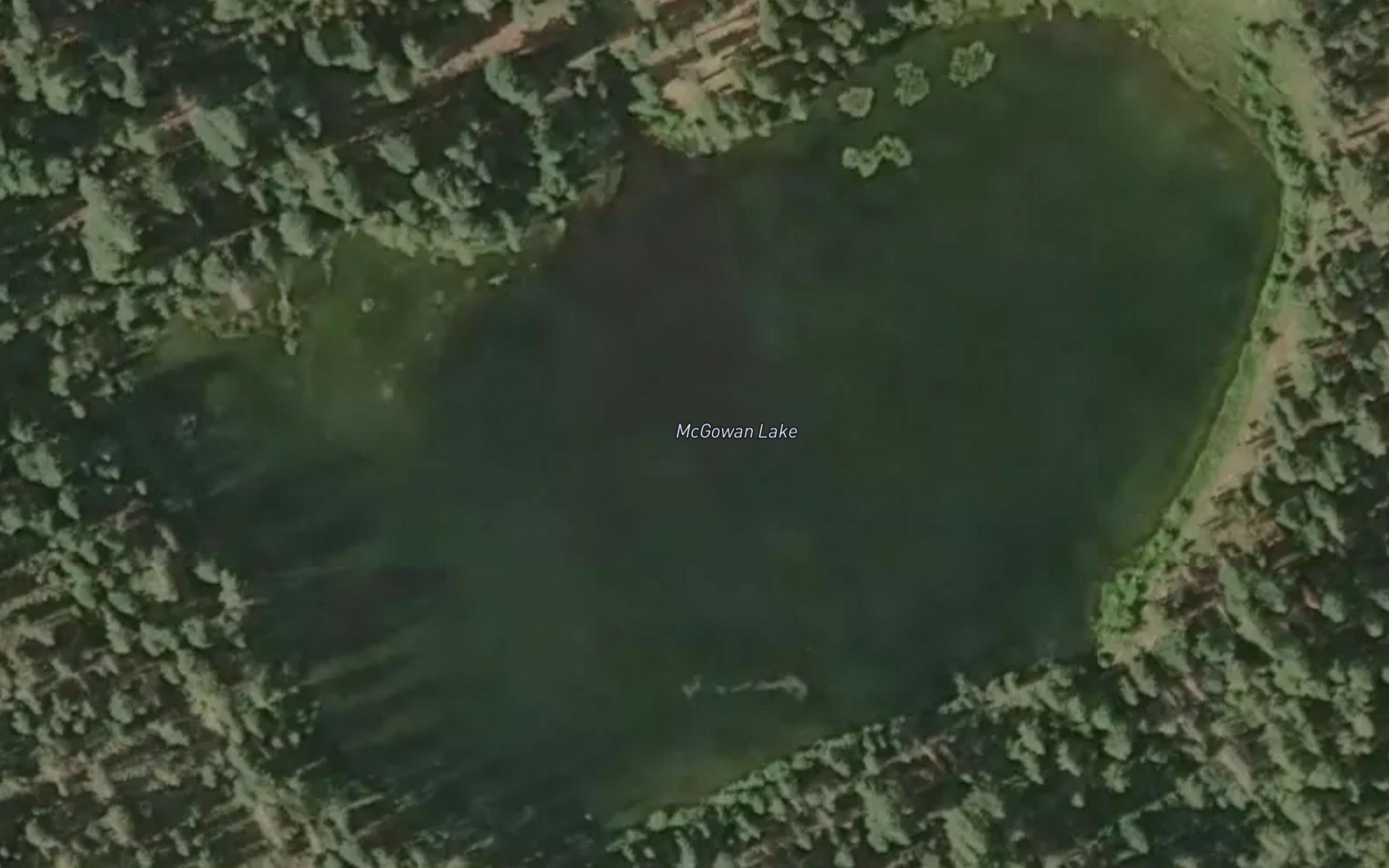 McGowan Lake