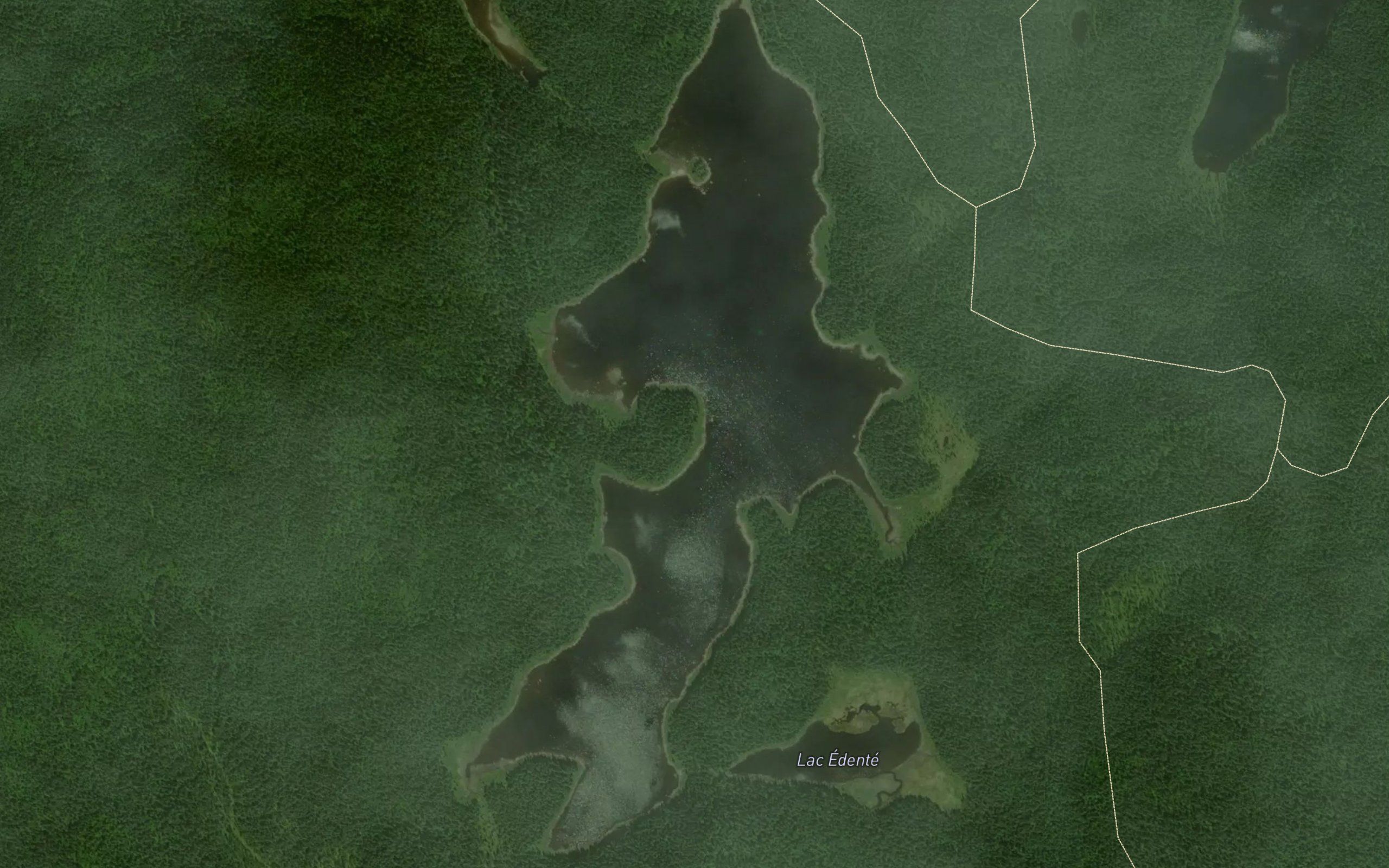 Lac McCaghey