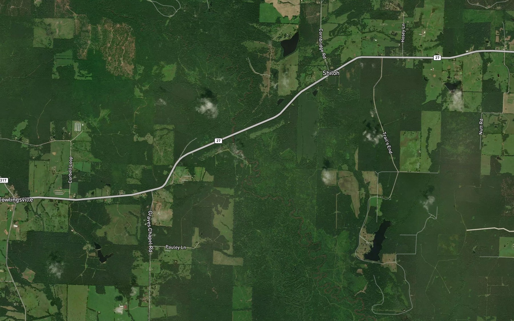 Satellite map of the Blue Bayou