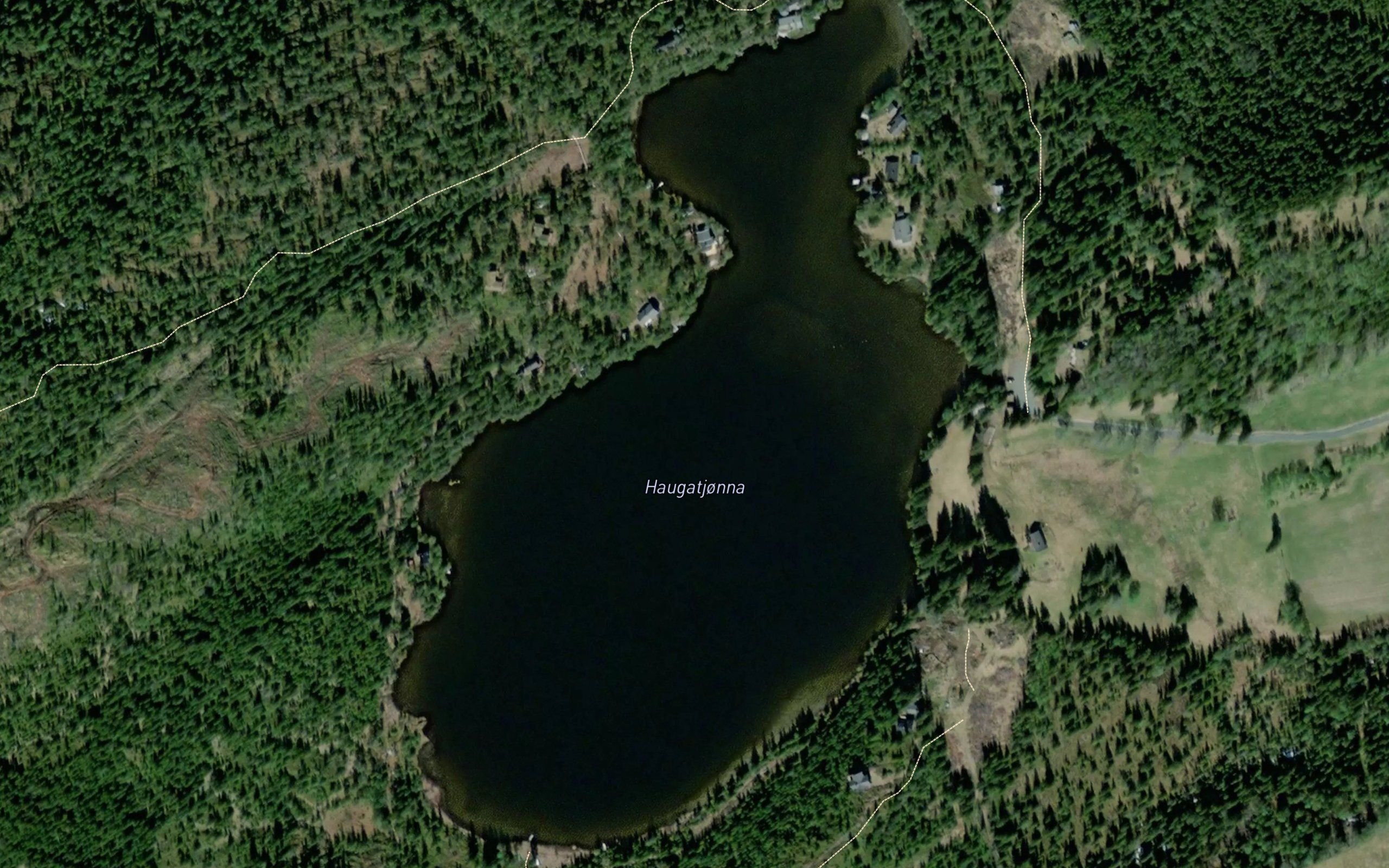Haugatjonna