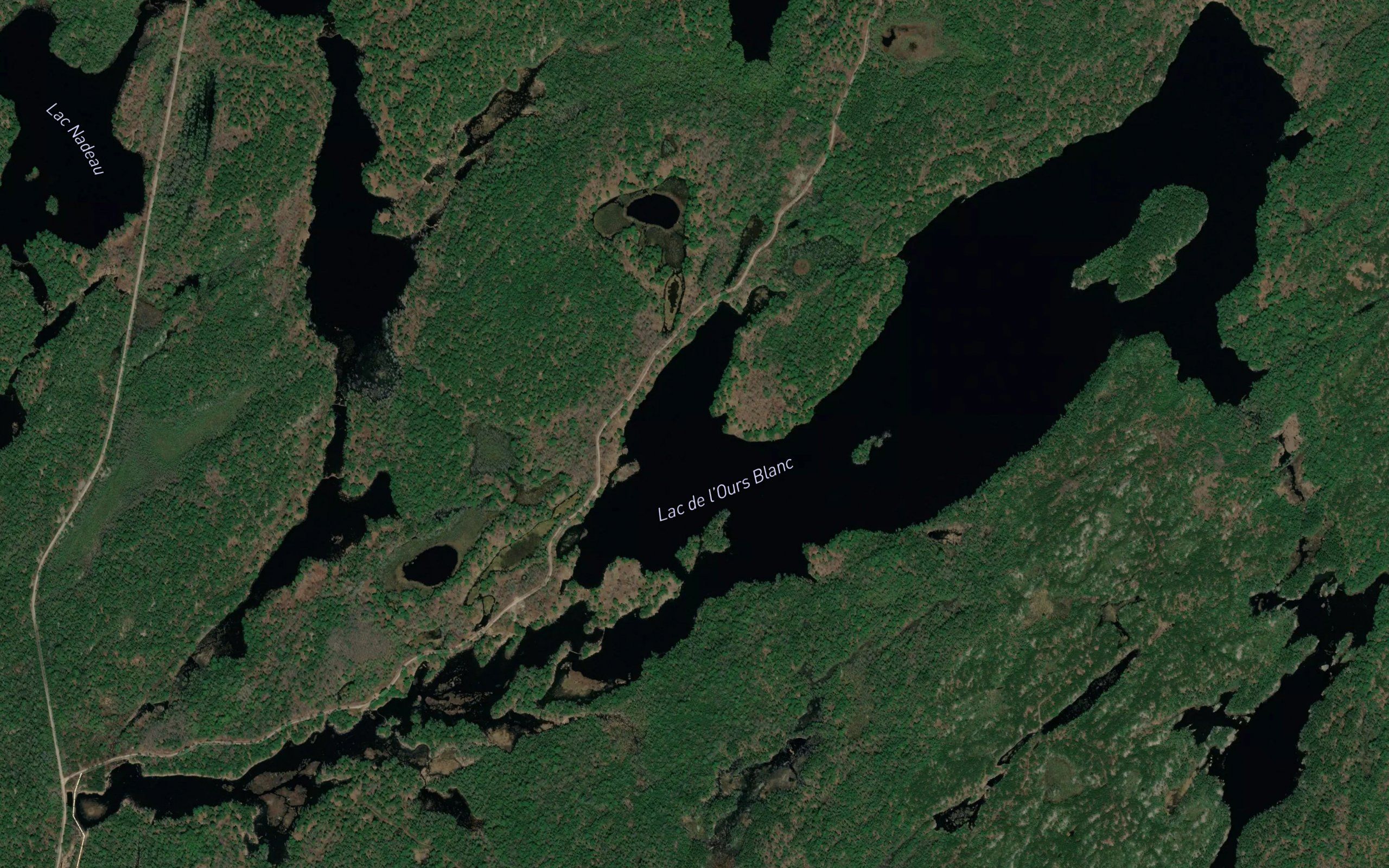 Lac de l'Ours Blanc