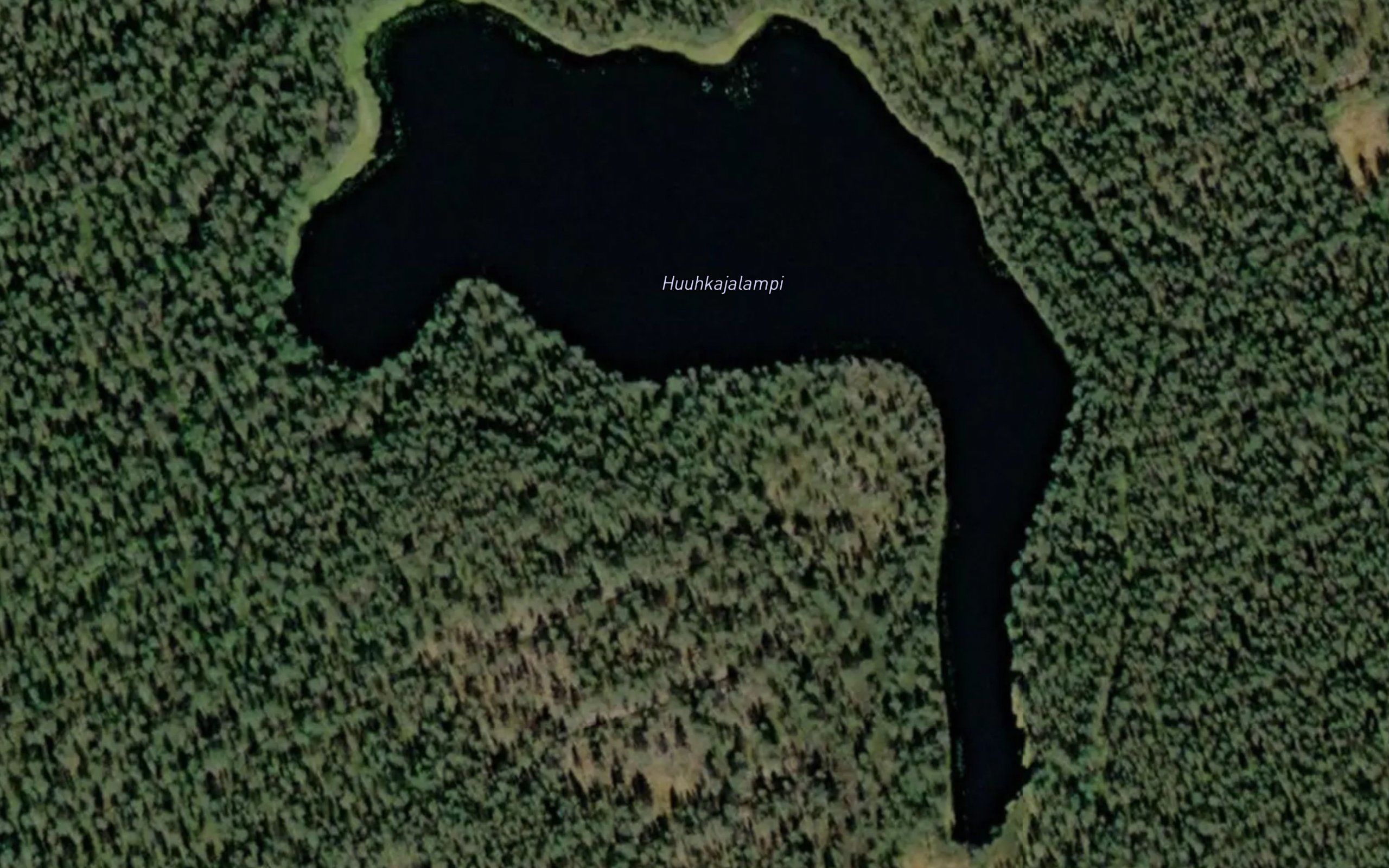 Huuhkajalammit