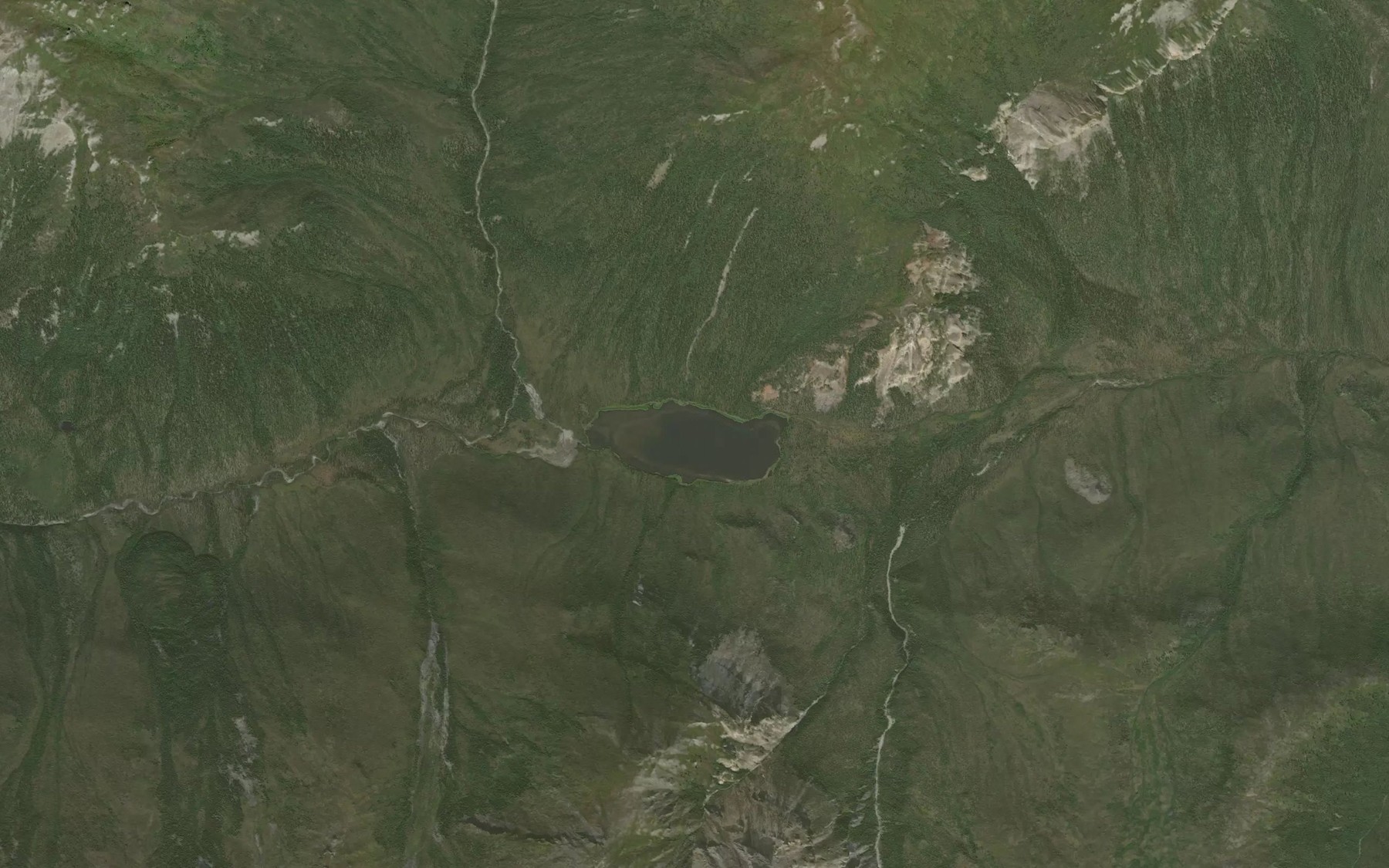 Satellite map of the Pet Lake