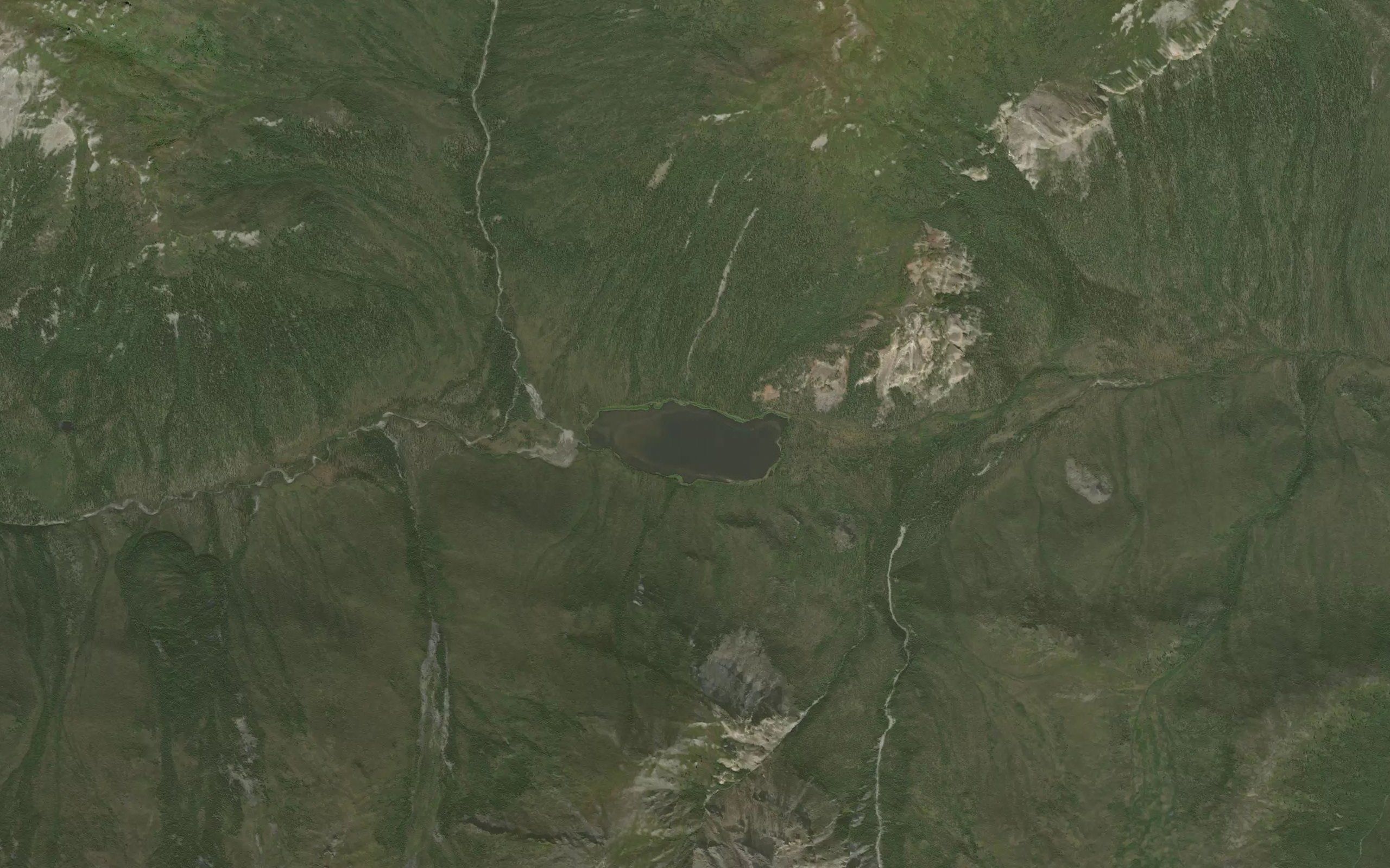 Pet Lake