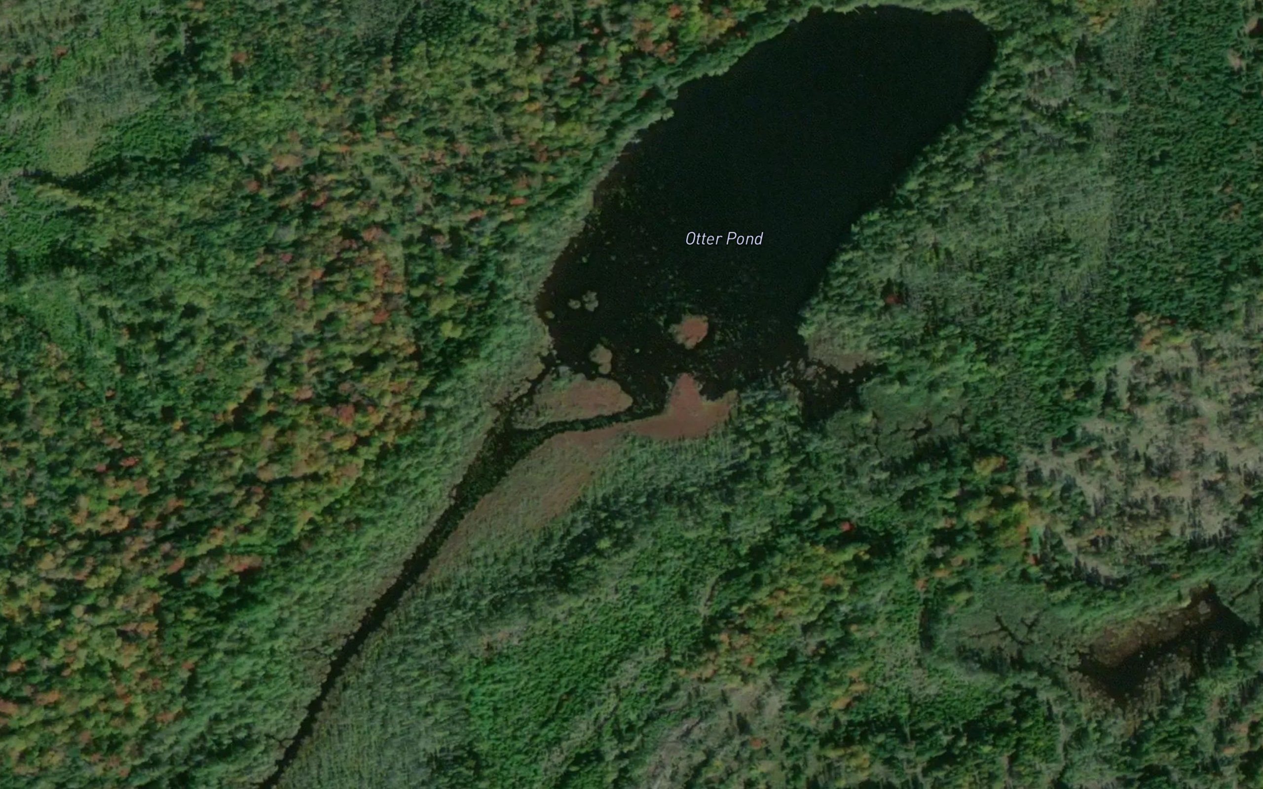 Otter Pond