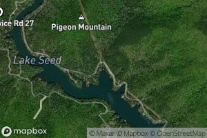 Seals Creek
