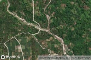 Botaonyo Malino Kecil