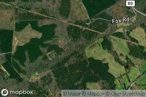 Tanyard Branch