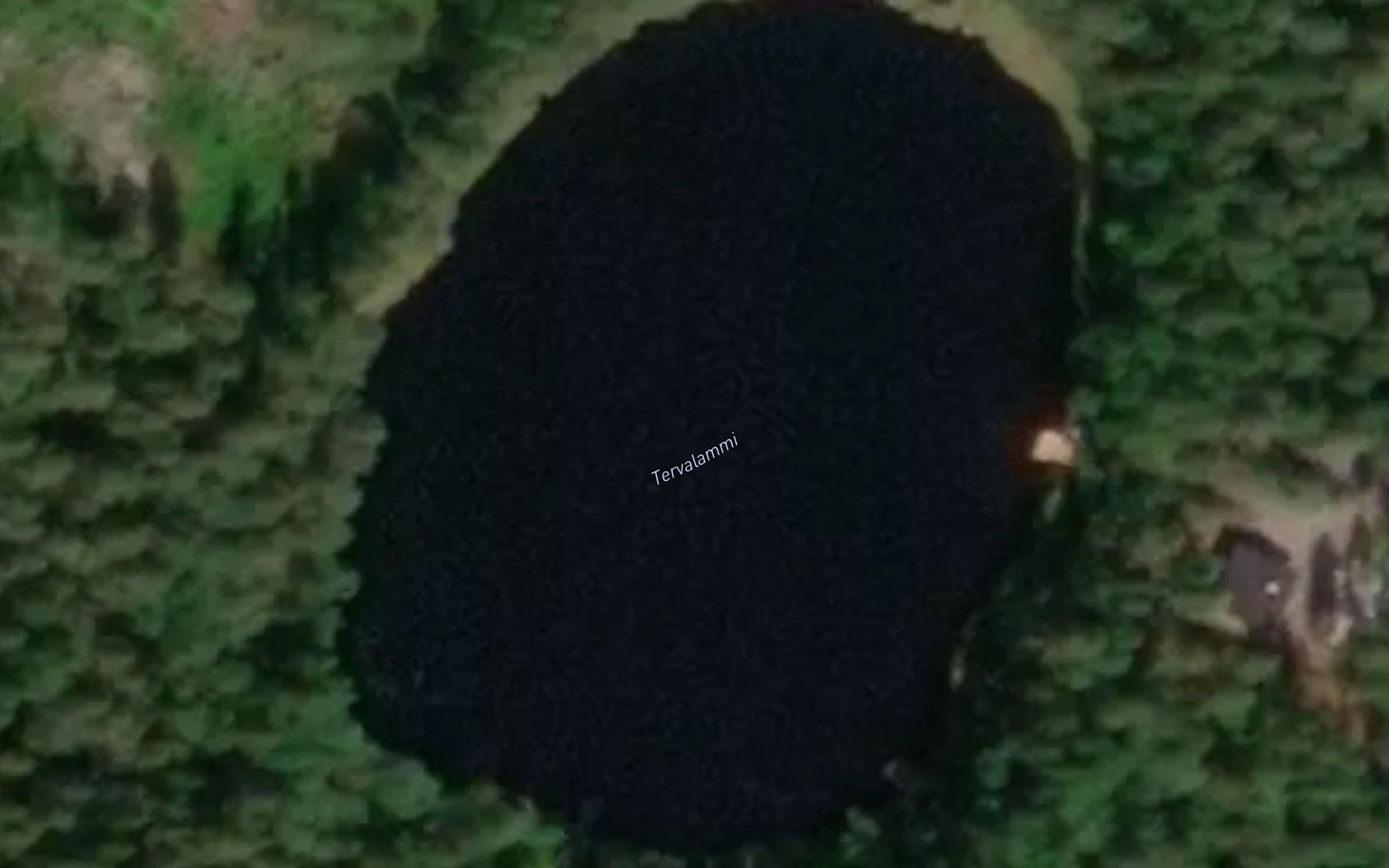 Tervalammi