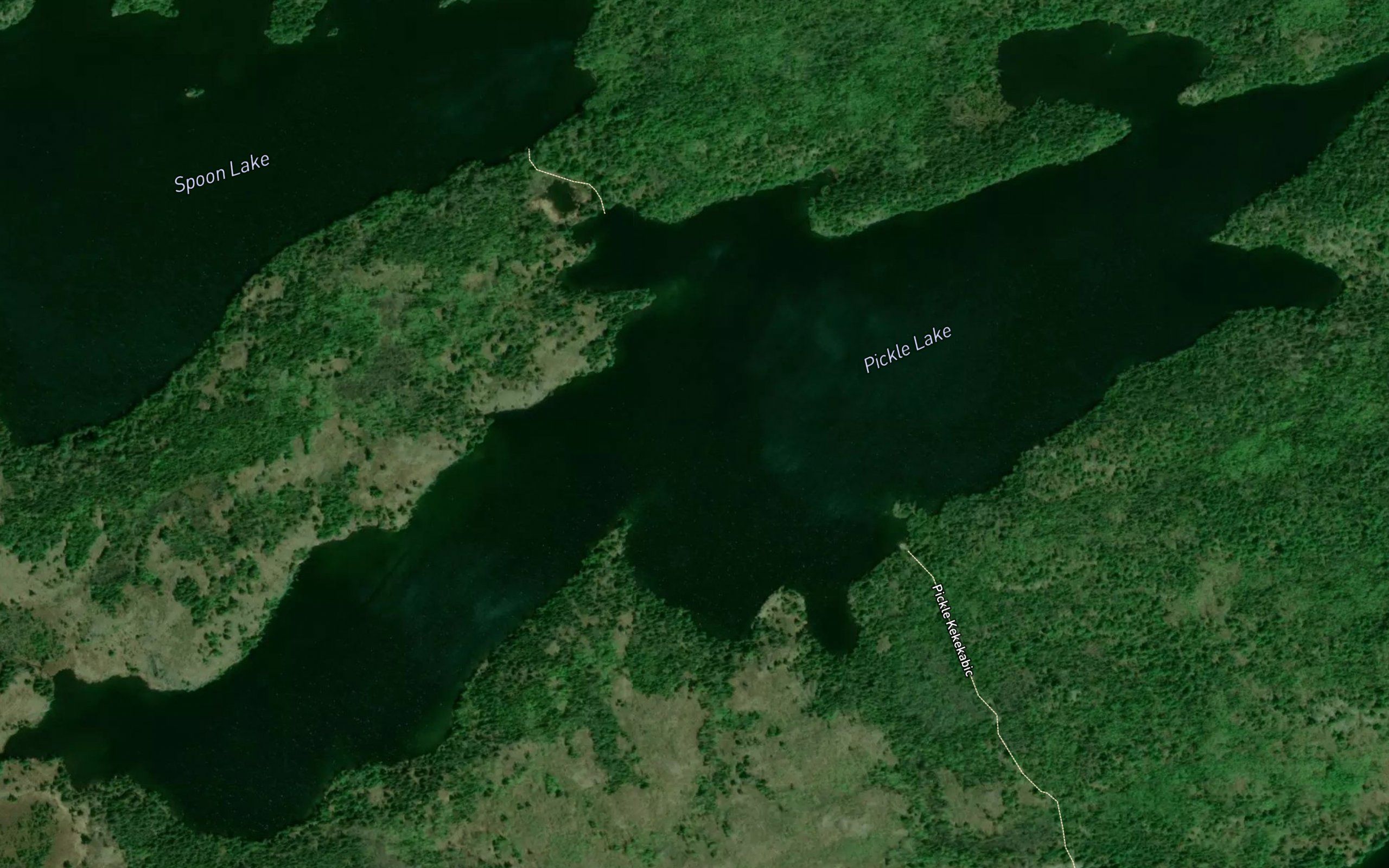 Pickle Lake