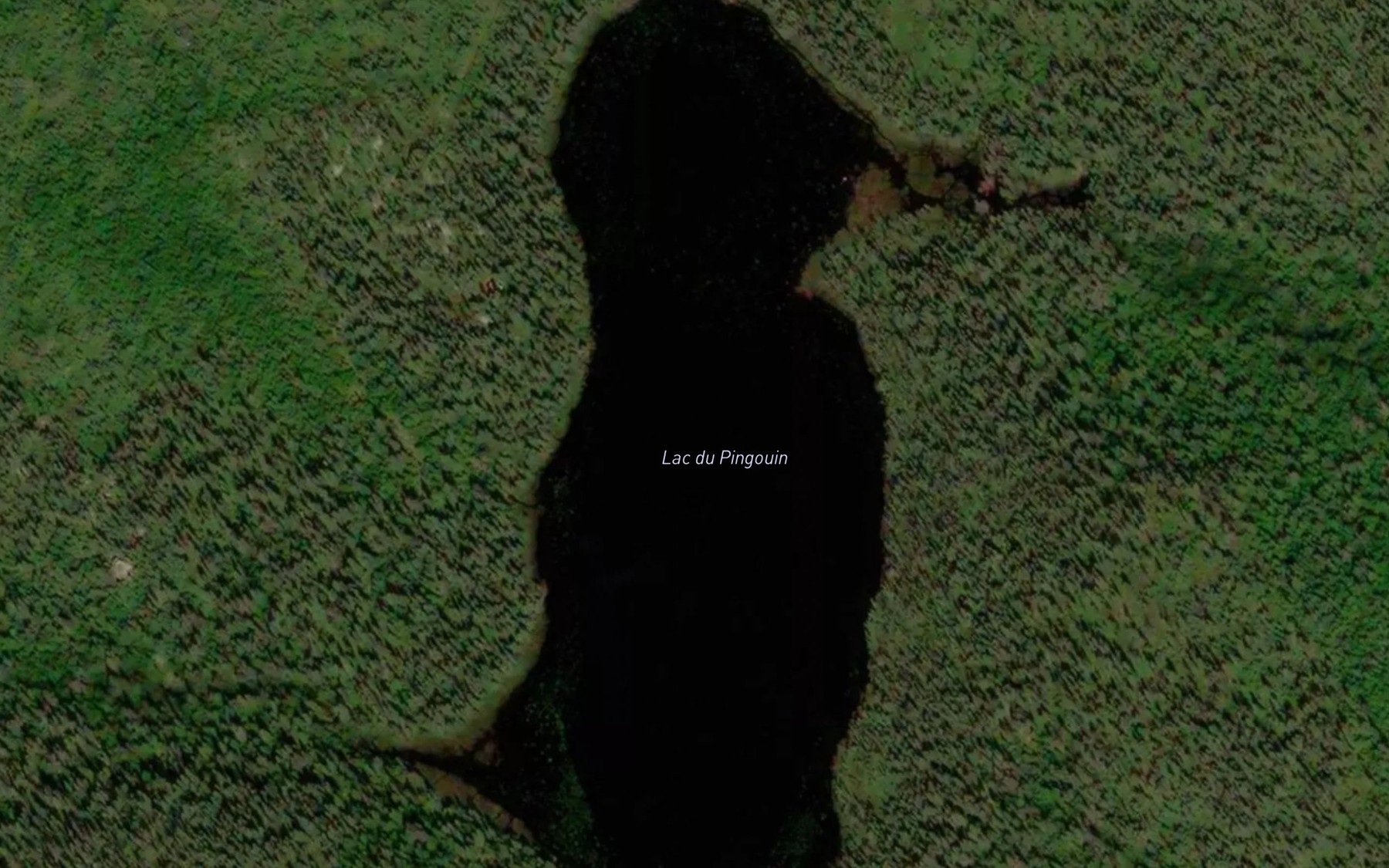 Satellite map of the Lac du Pingouin