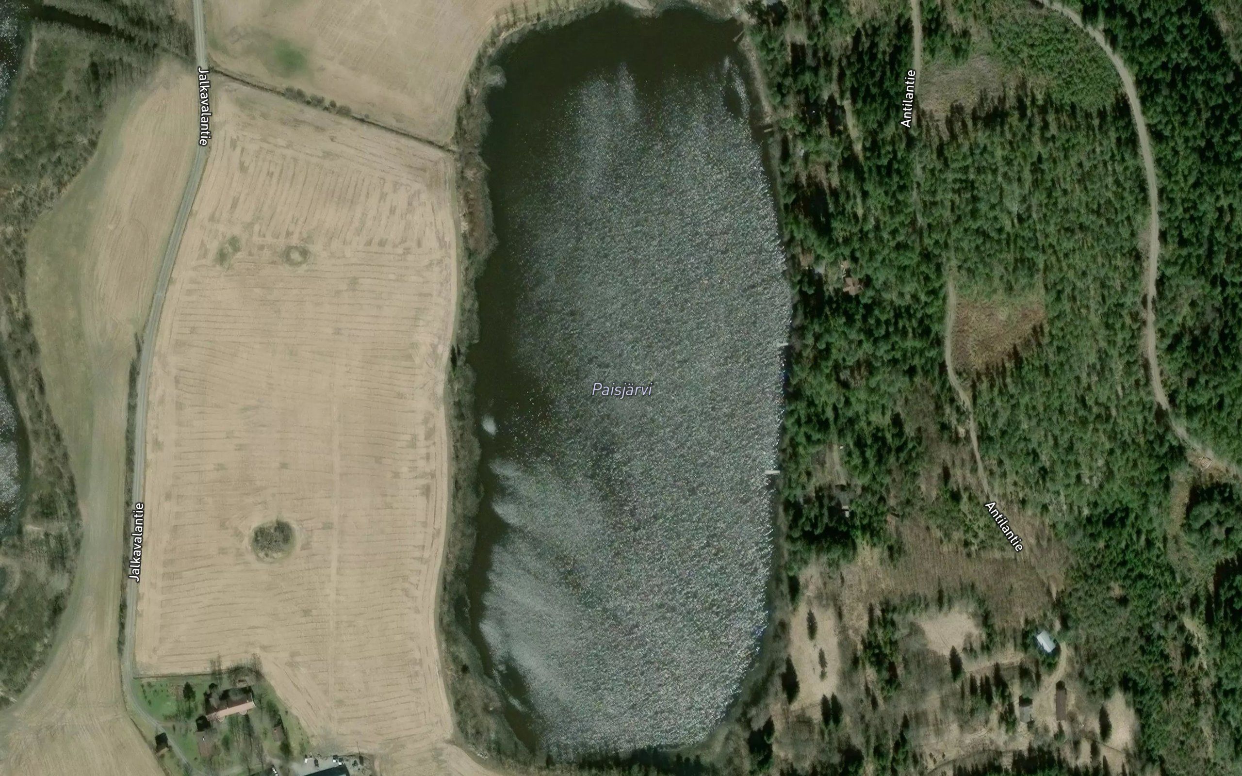 Paisjarvi