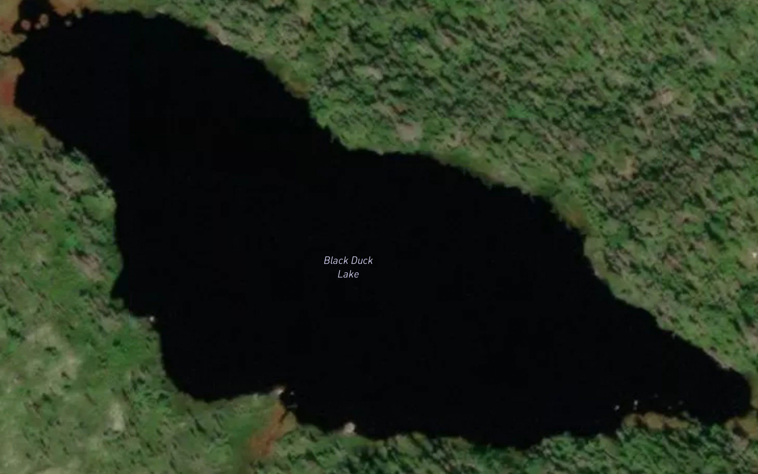 Black Duck Lake