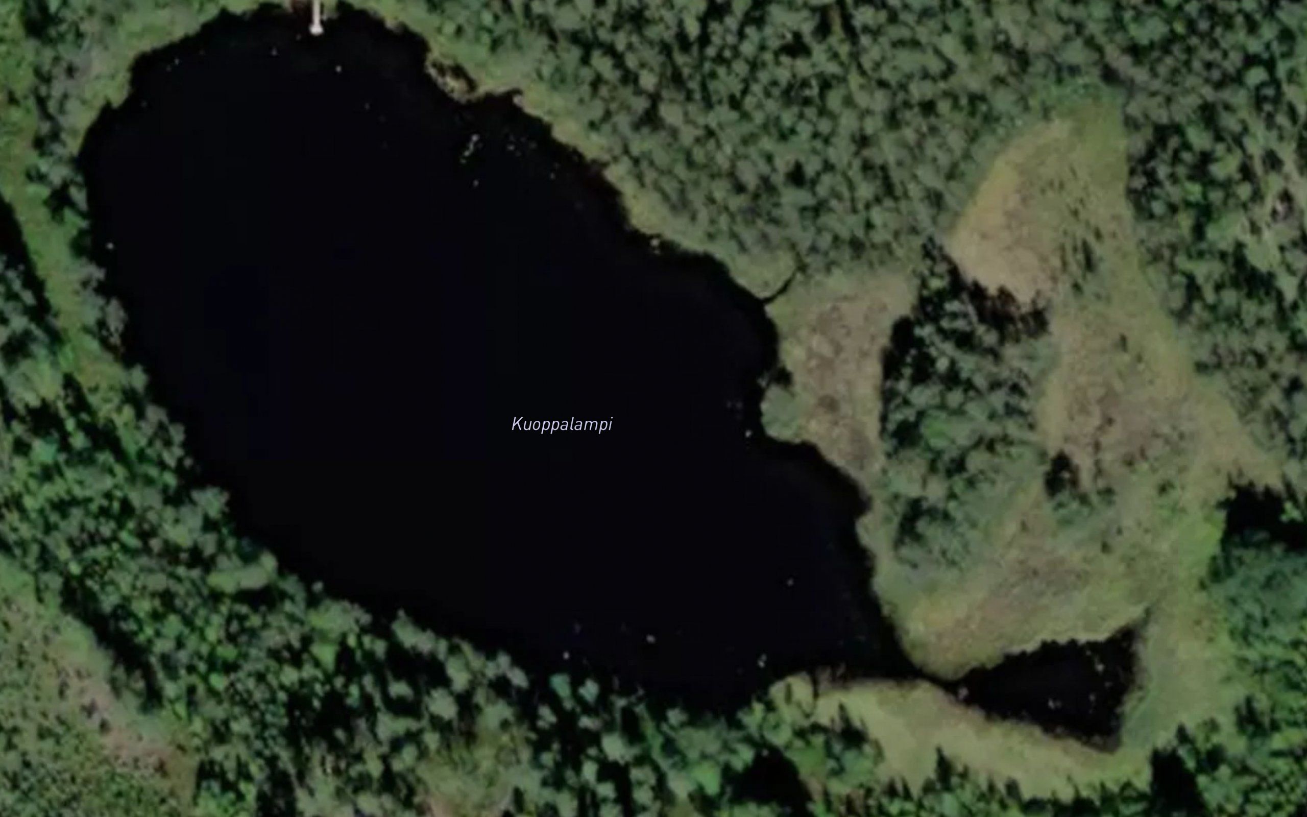 Kuoppalampi
