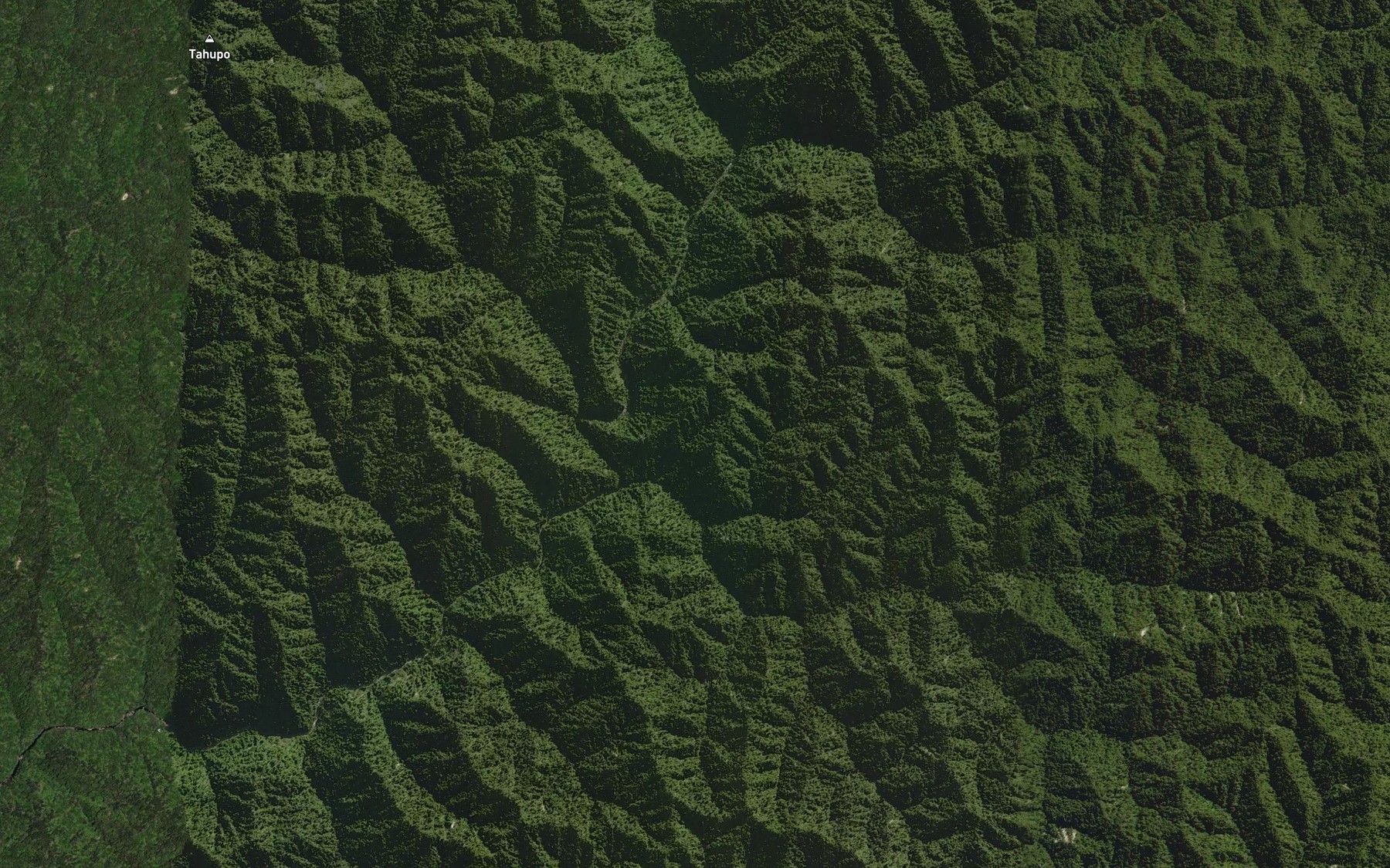 Satellite map of the Tuituiaporua Stream