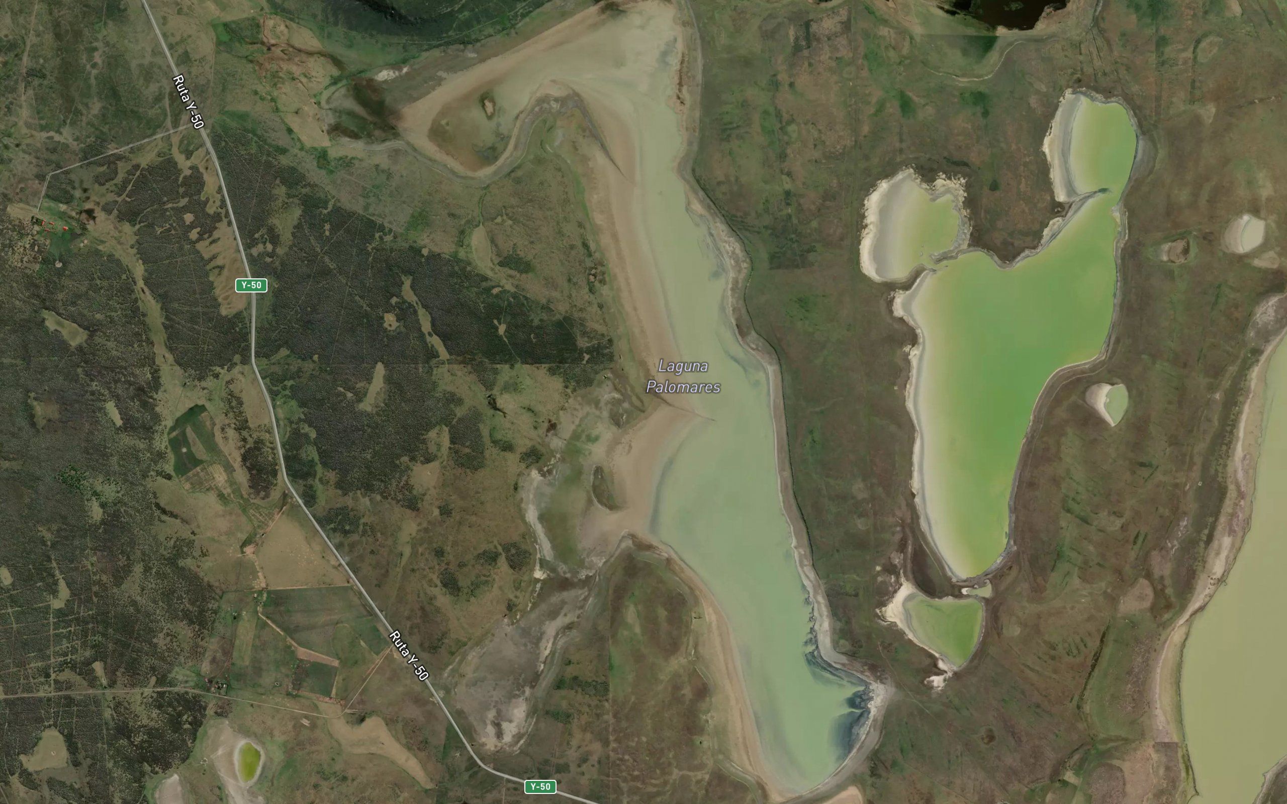 Laguna Palomares