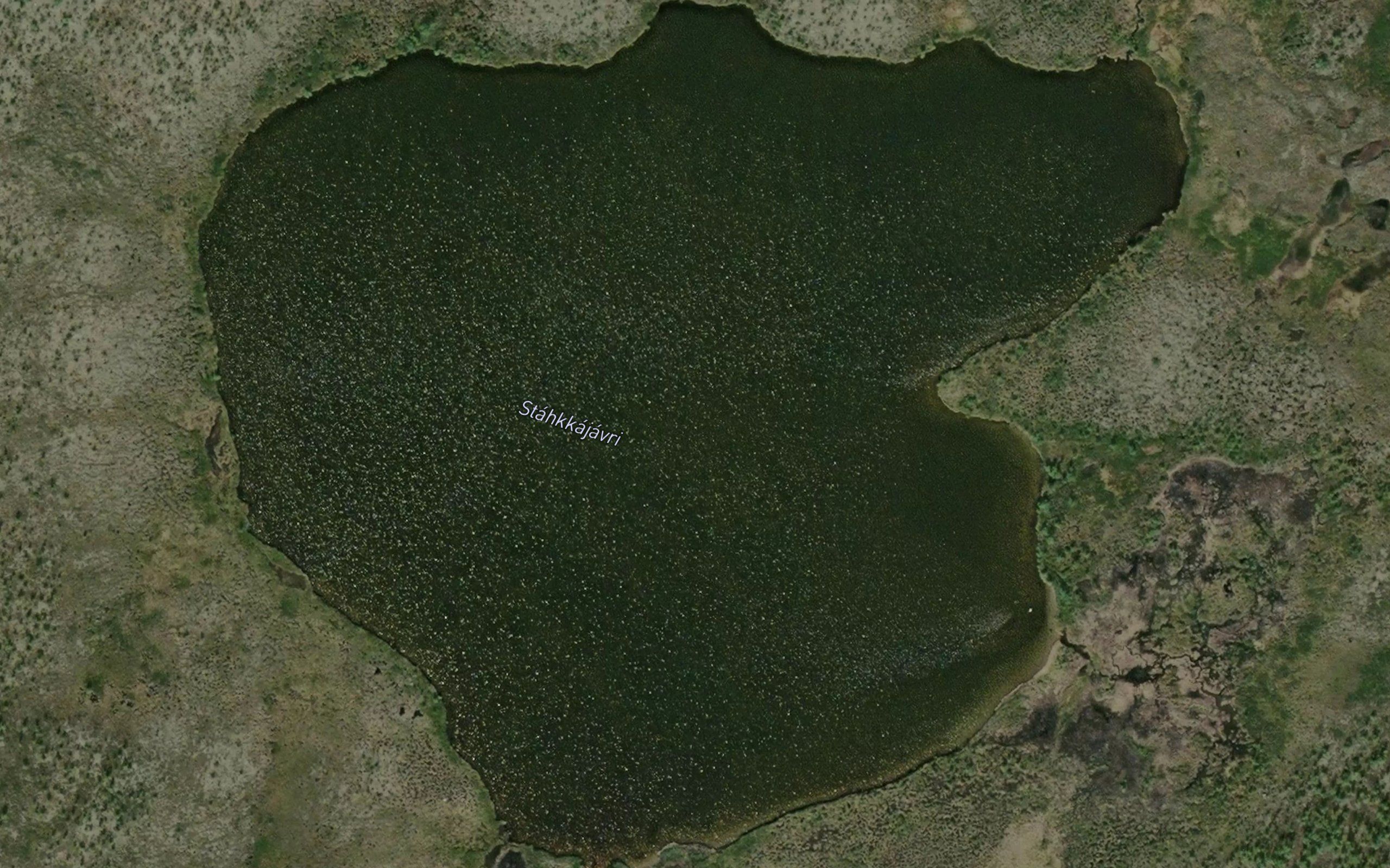Stakkajavri