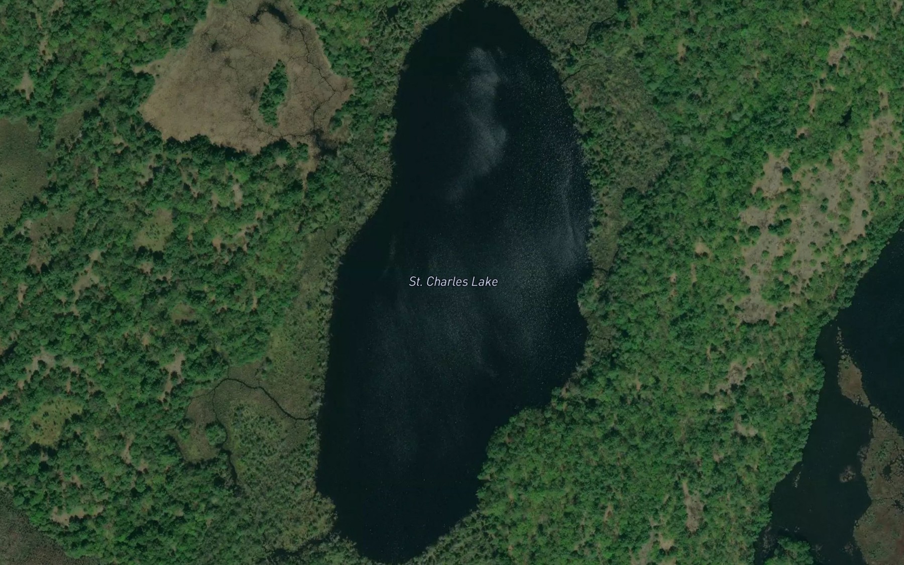 Satellite map of the St. Charles Lake