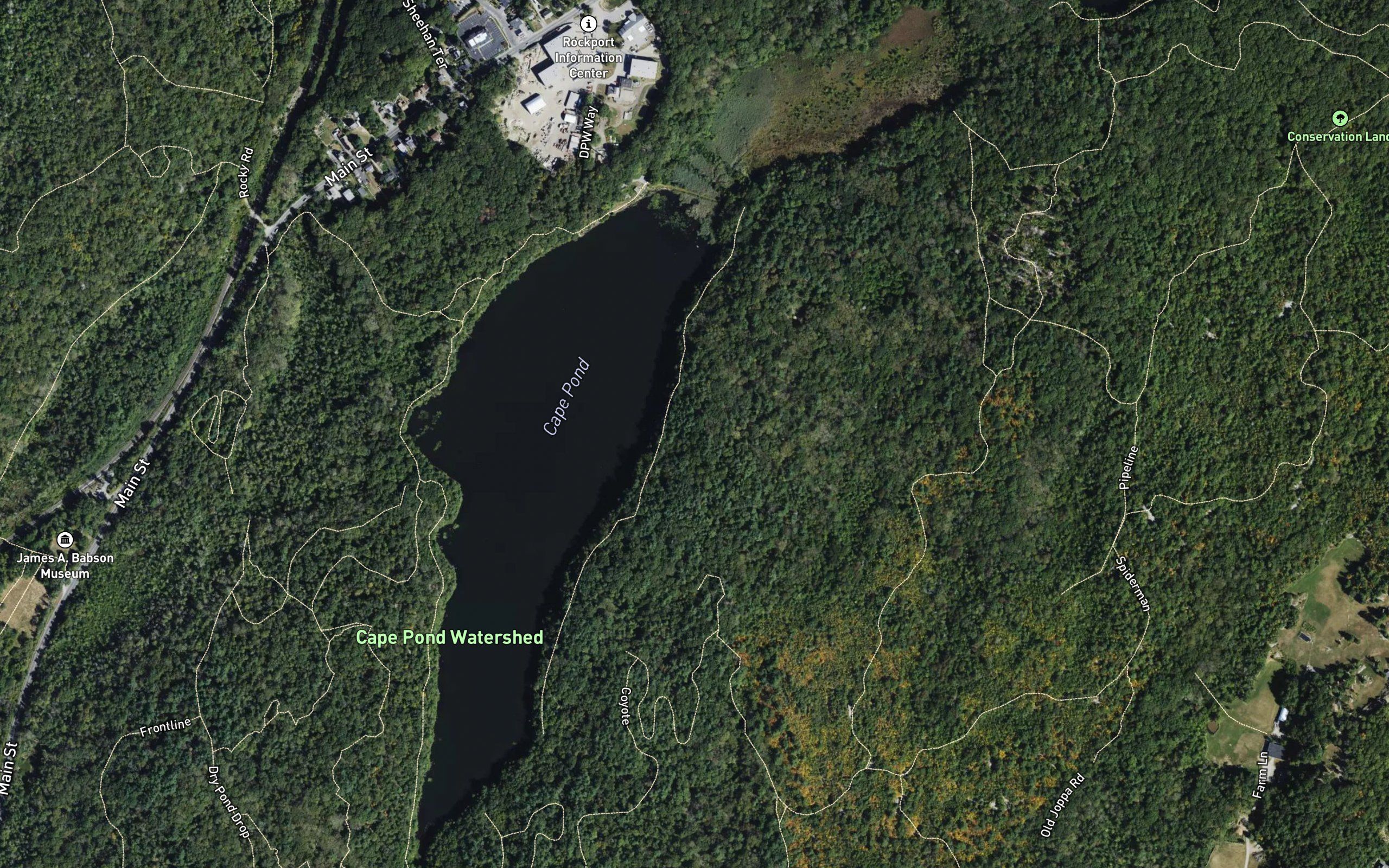 Cape Pond