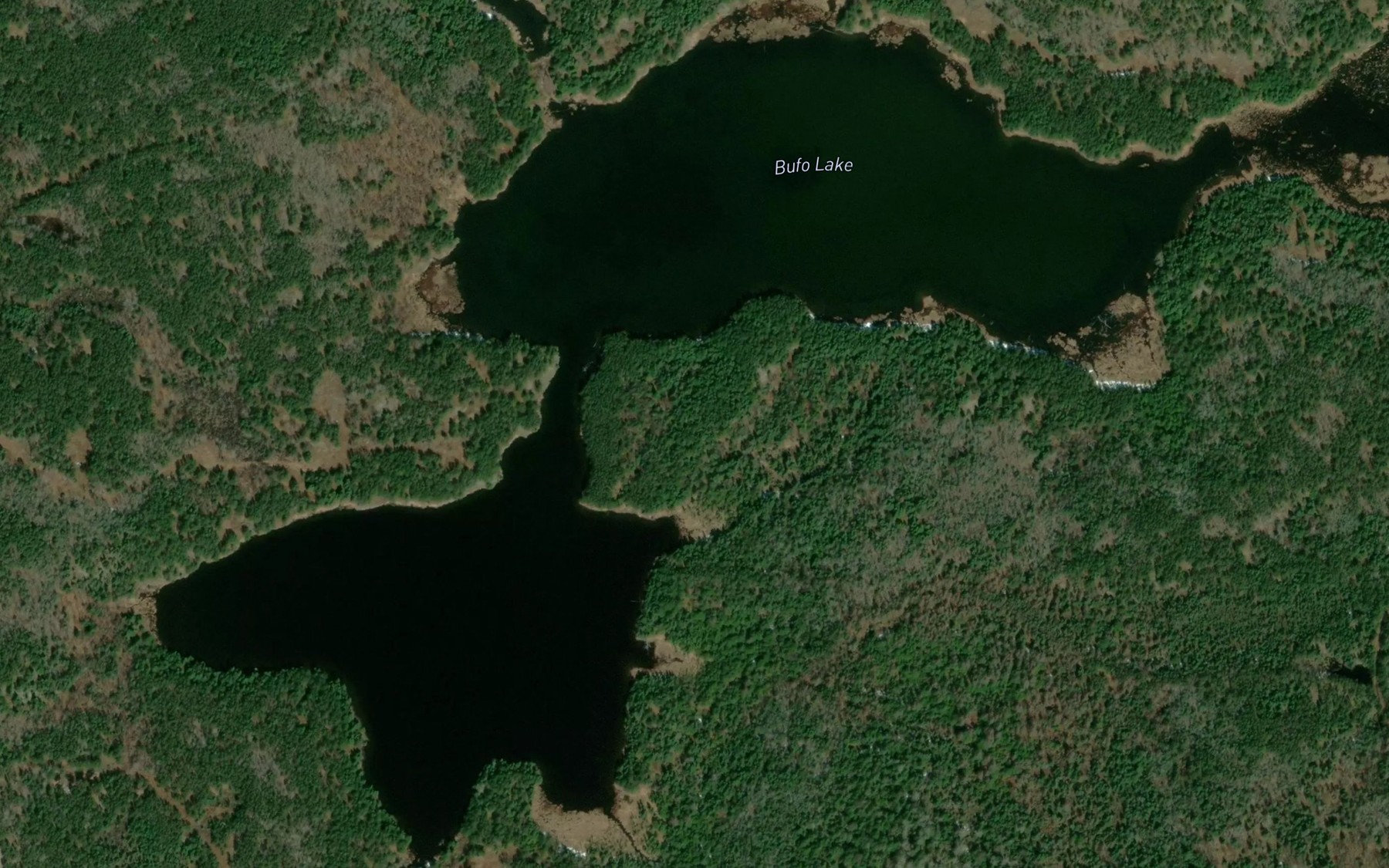 Satellite map of the Bufo Lake