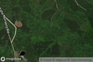 Griffin Spring Branch