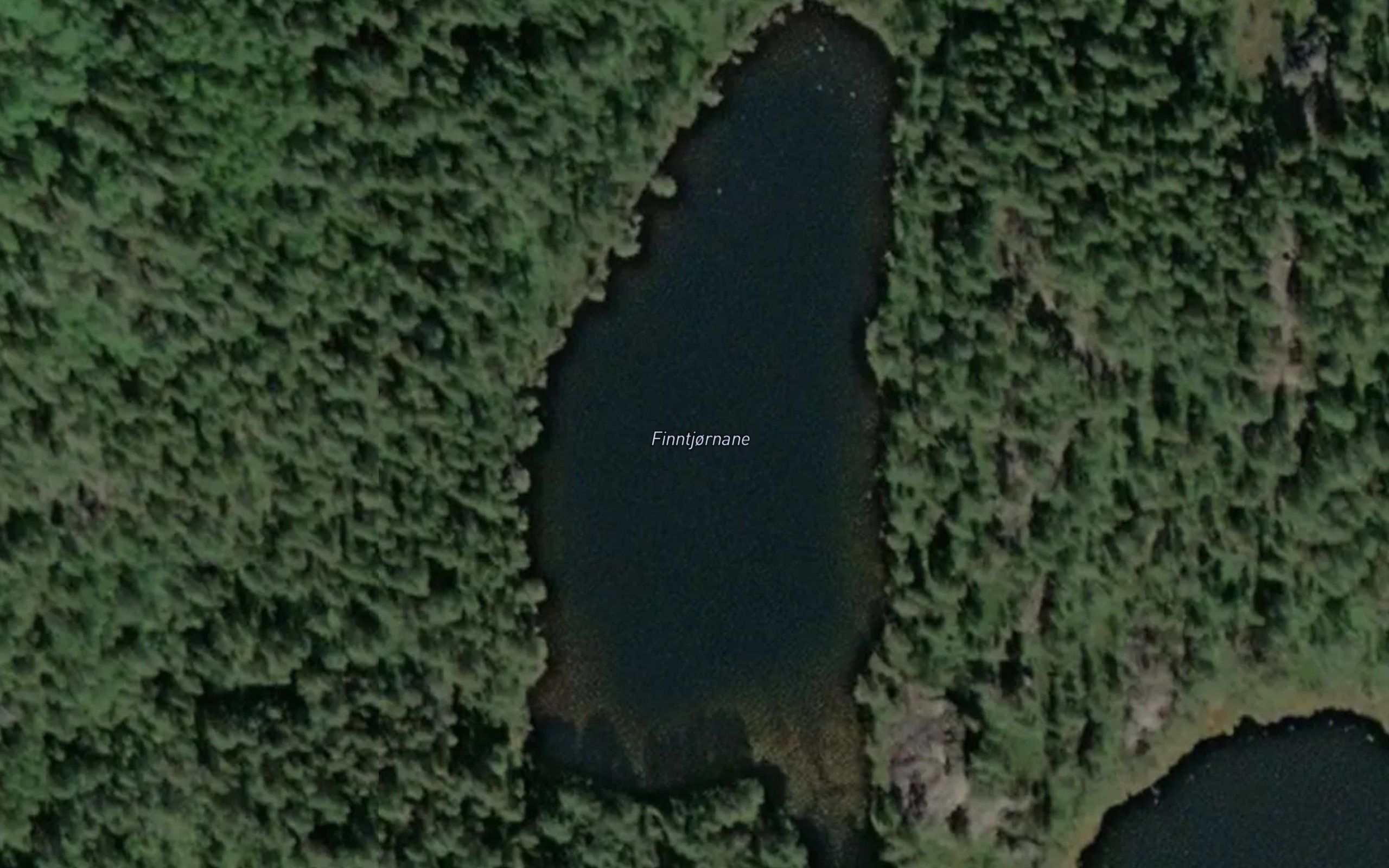 Finntjornane