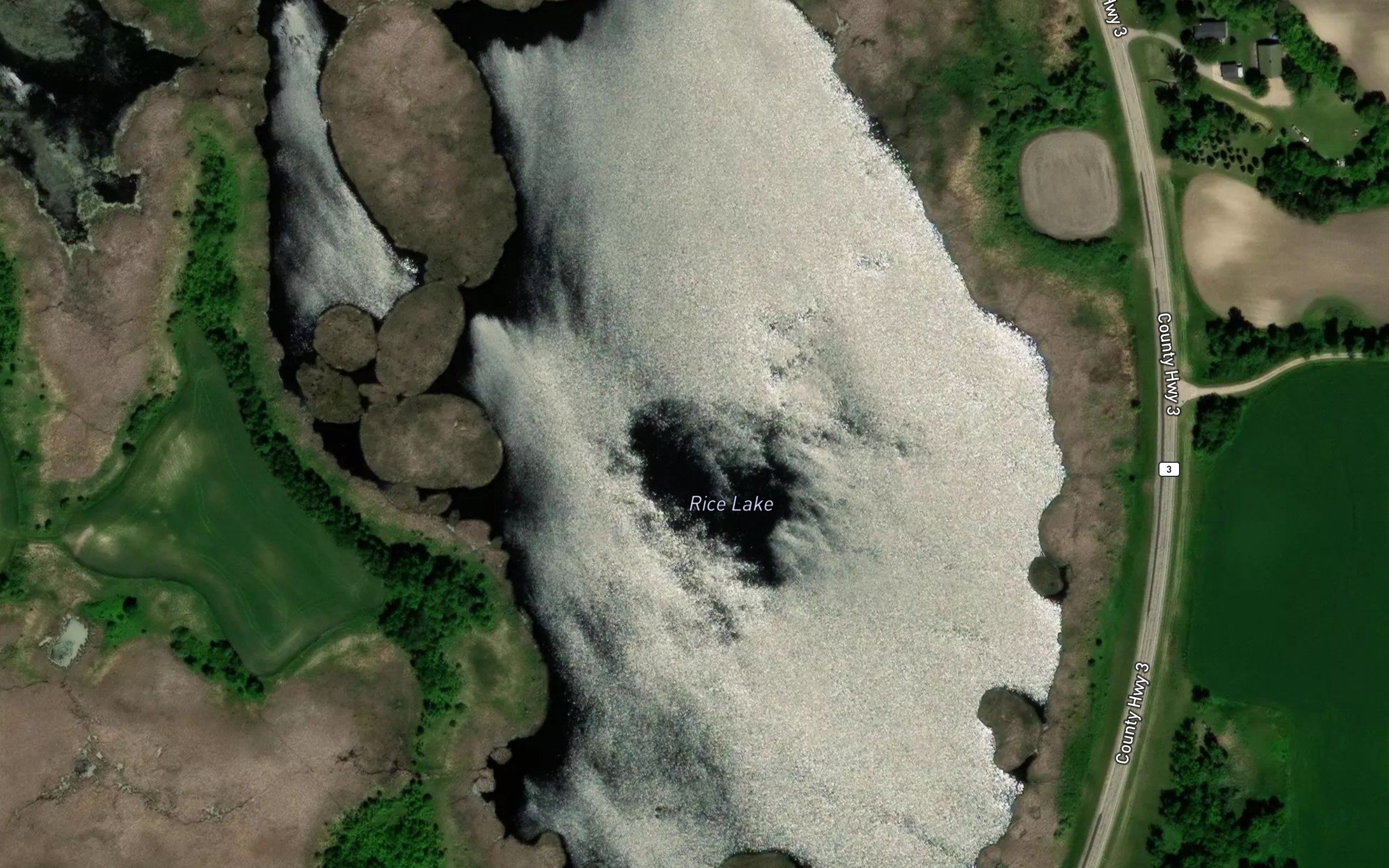 Rice Lake