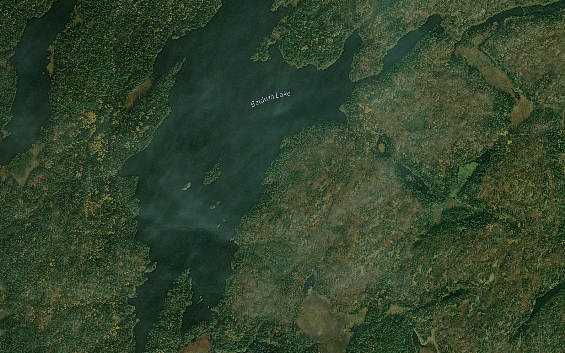 Satellite map of the Baldwin Lake