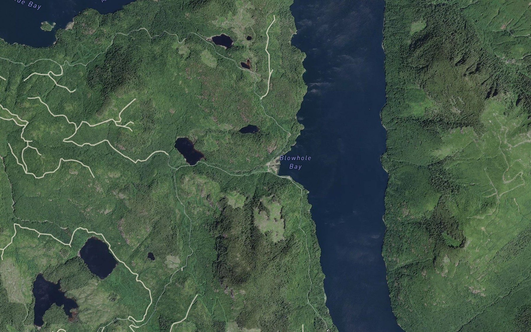 Satellite map of the Blowhole Creek