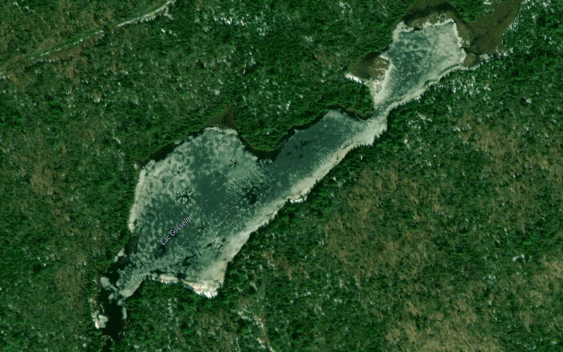 Satellite map of the Lac Gosselin