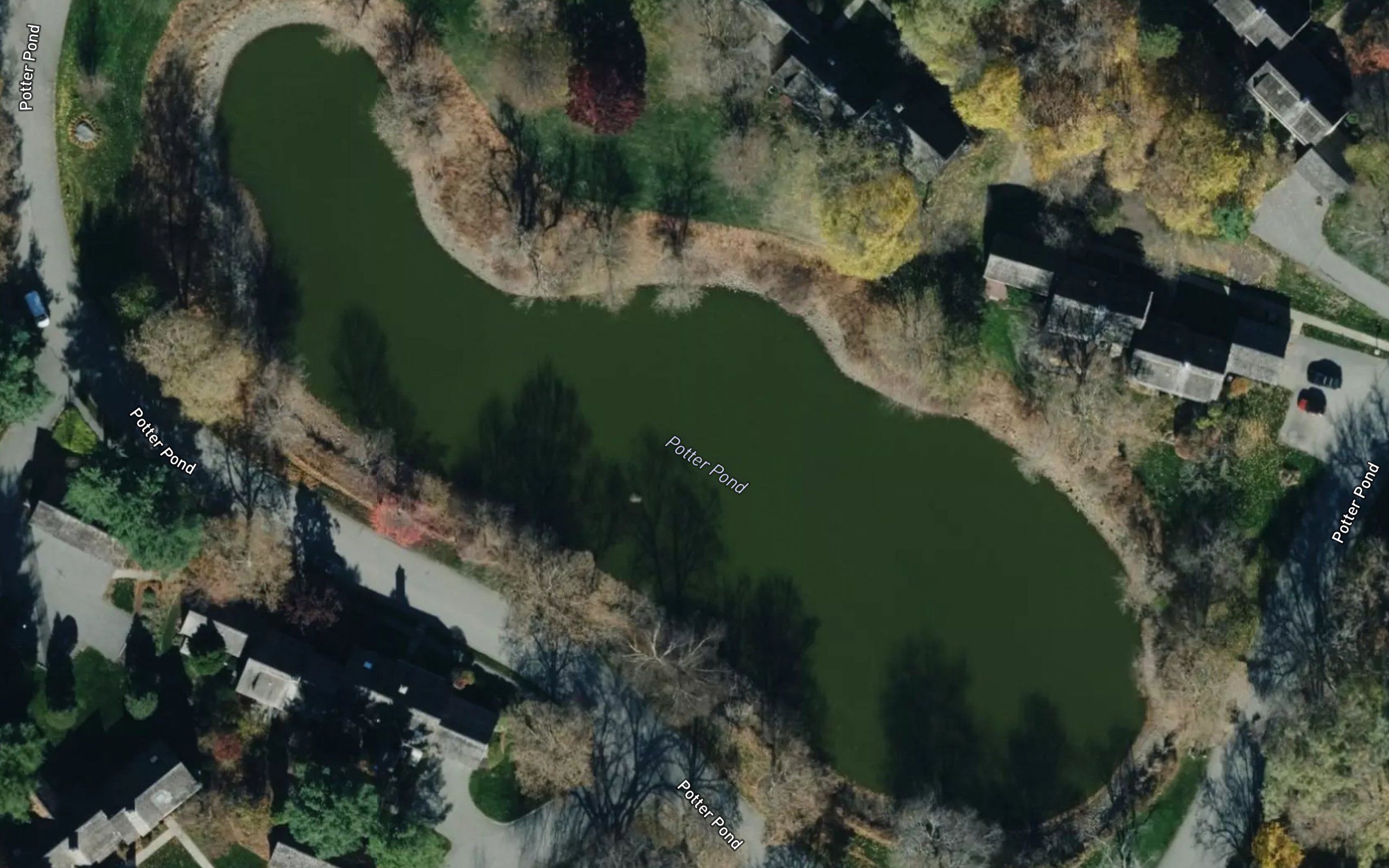Potter Pond
