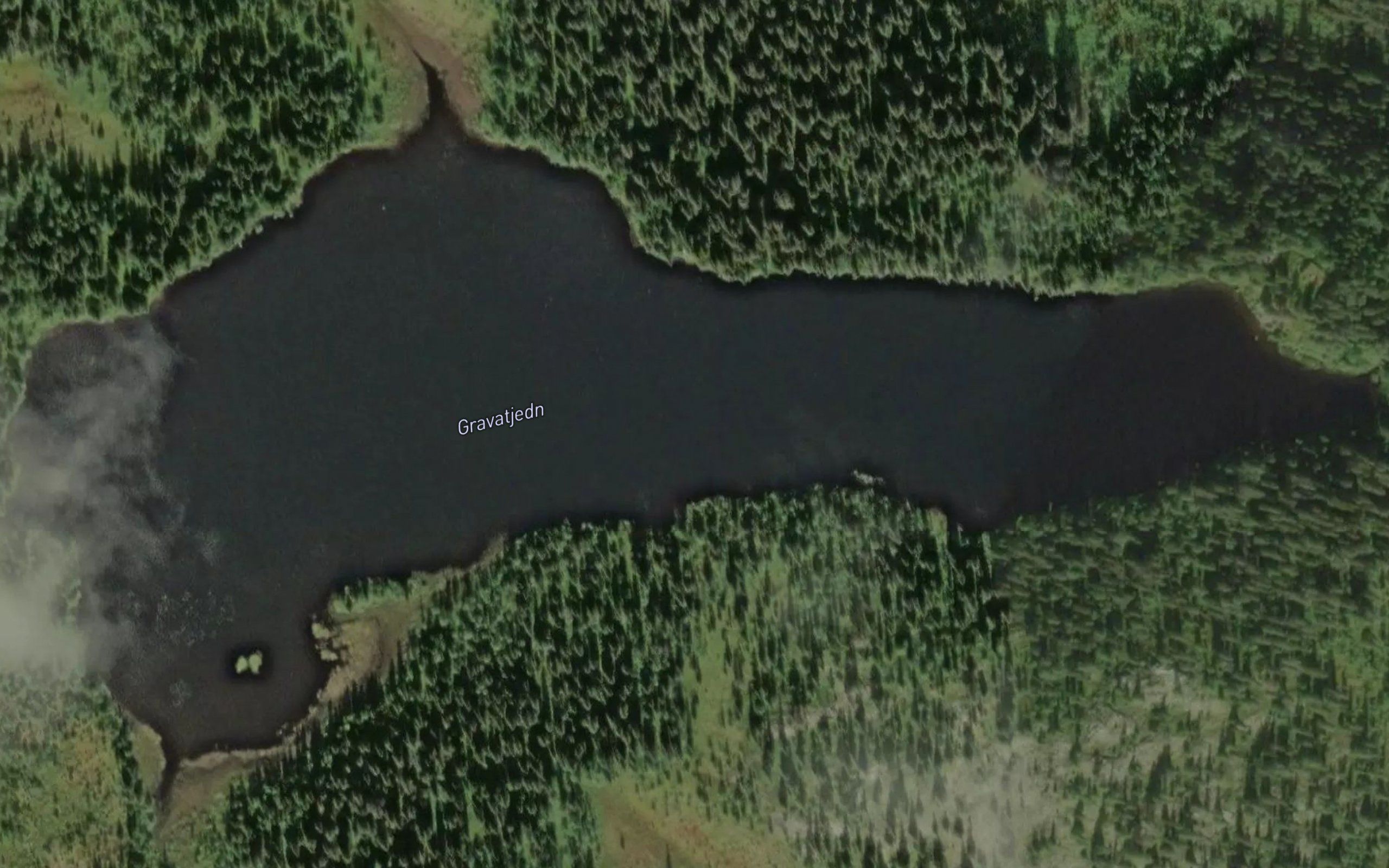 Gravatjedn