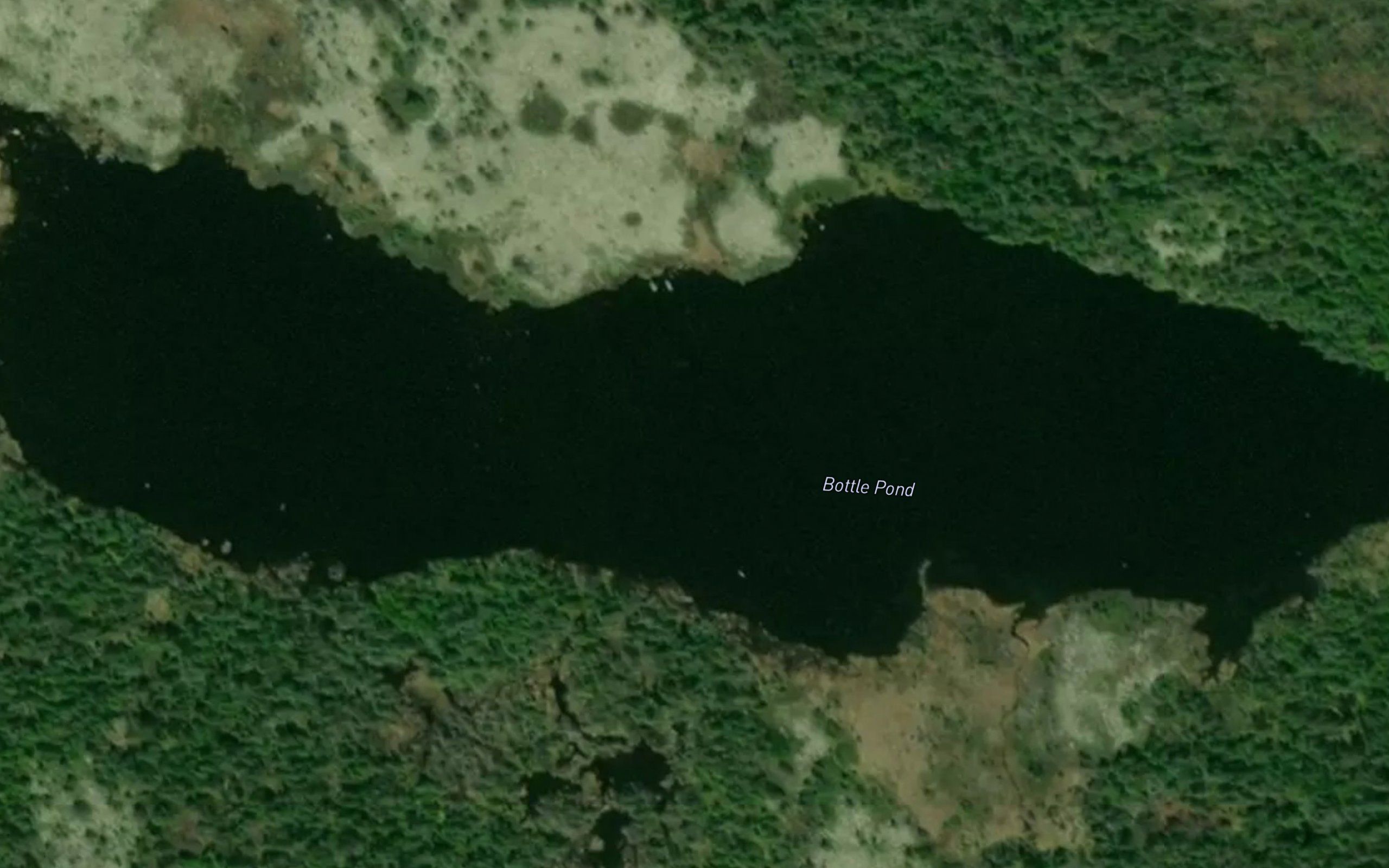 Bottle Pond