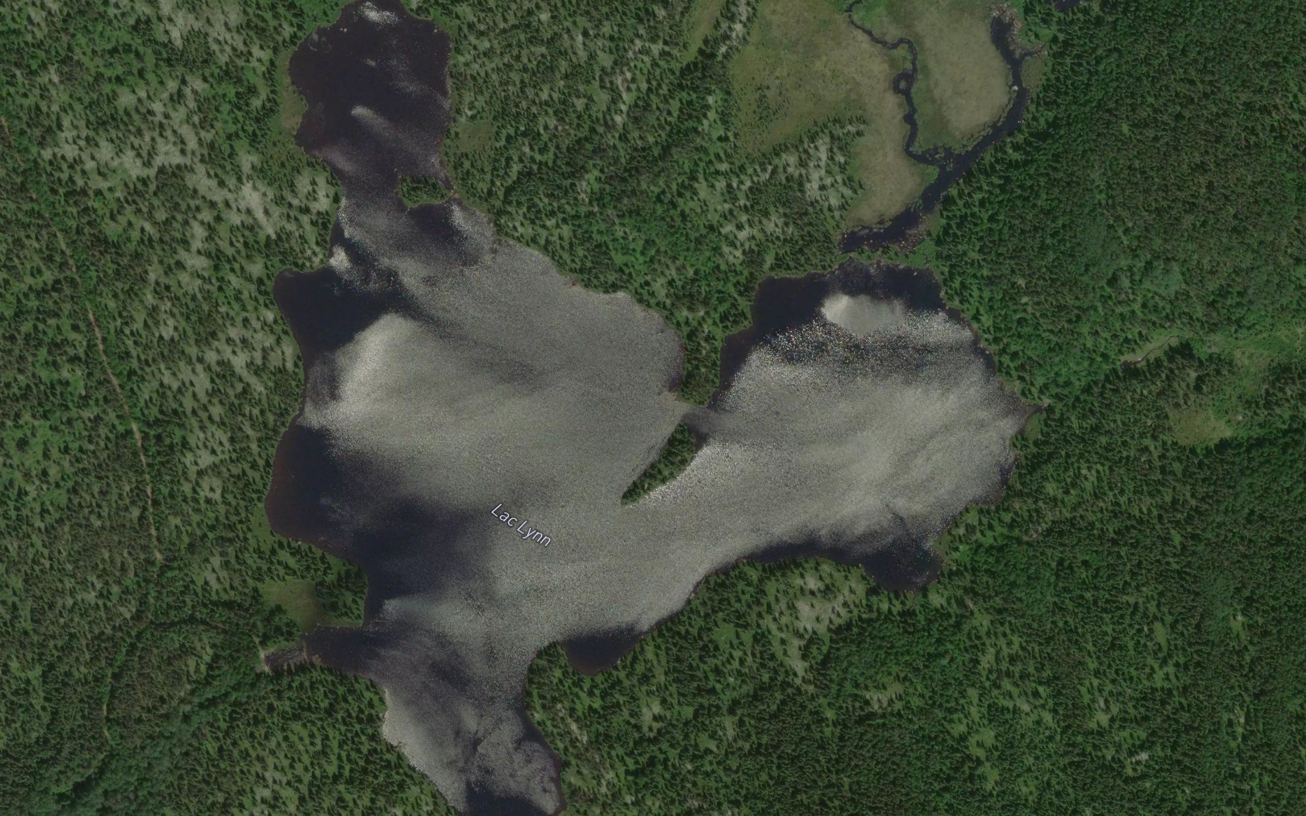 Lac Lynn