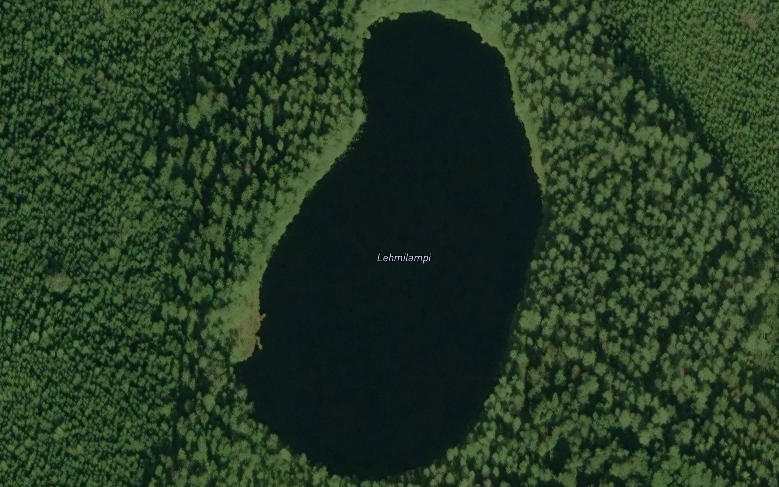 Lehmilampi