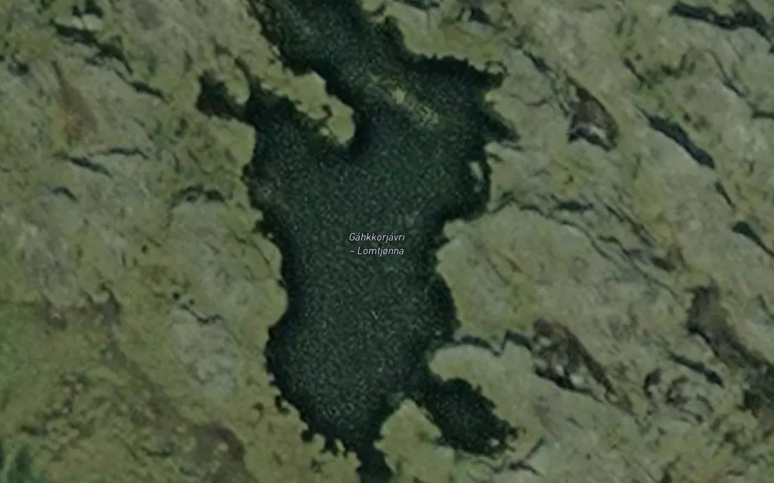 Lomtjorna