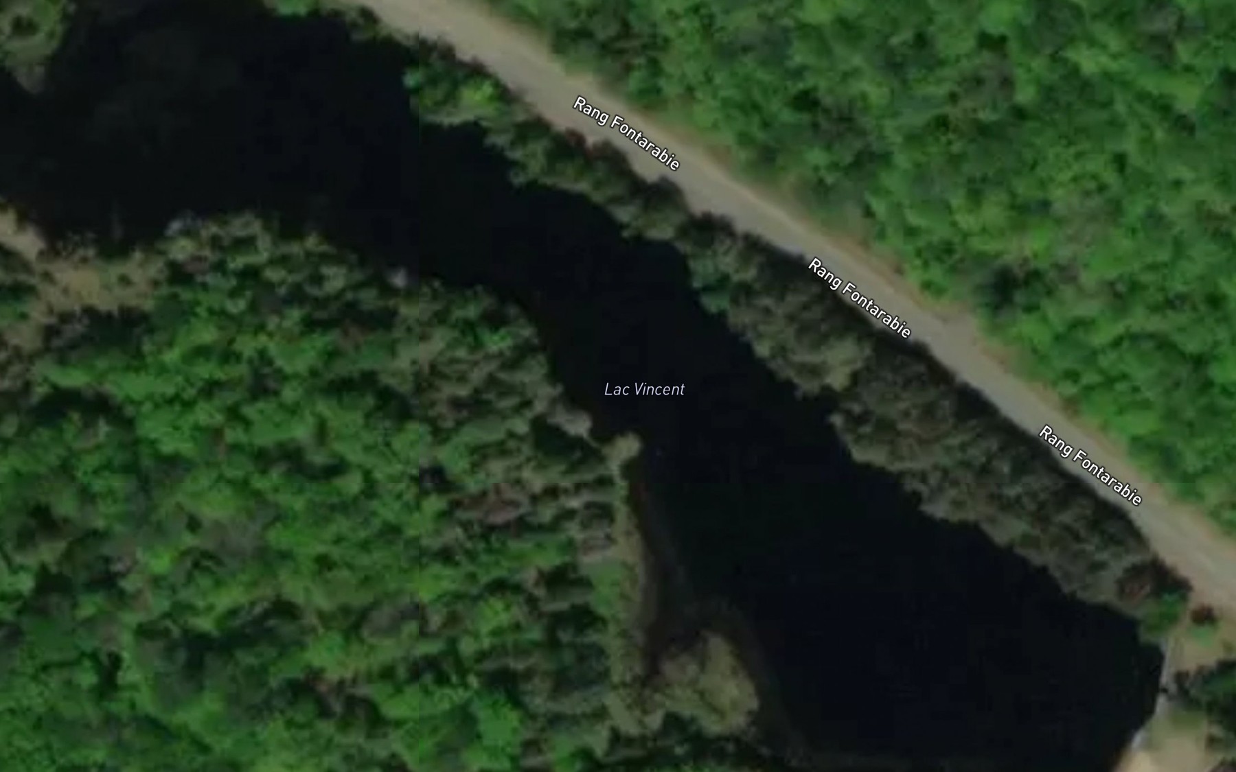 Satellite map of the Lac Vincent