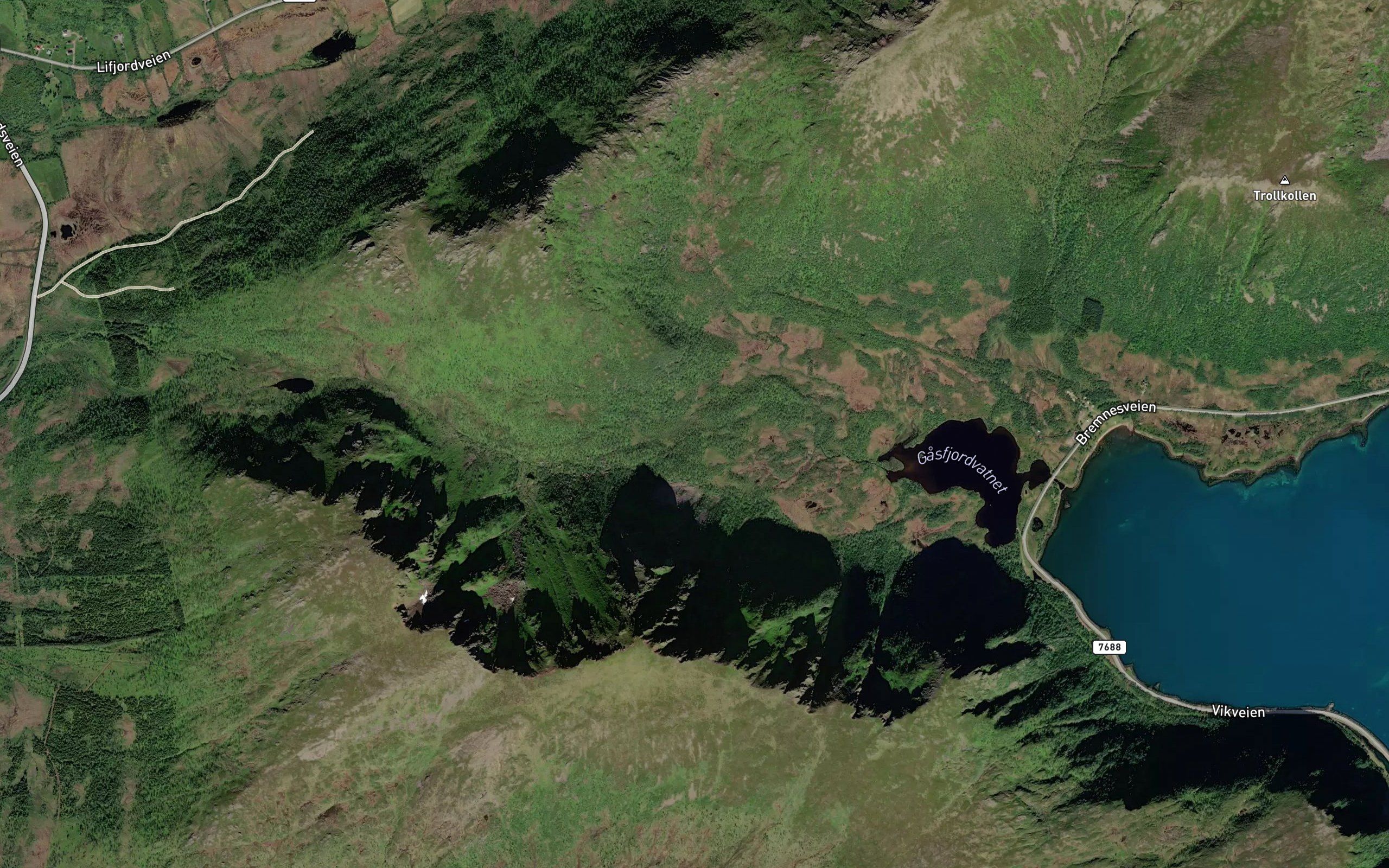 Skardelva