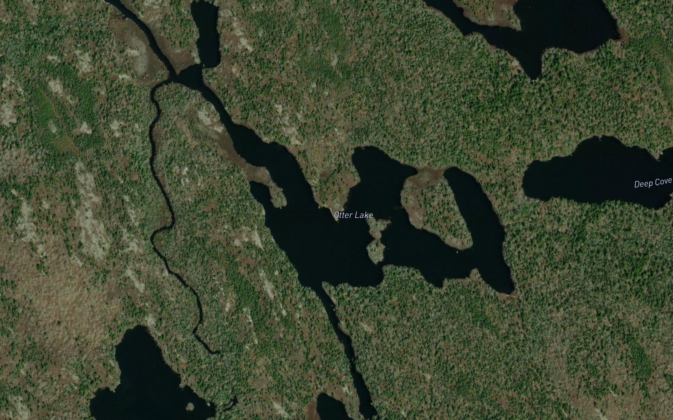 Otter Lake