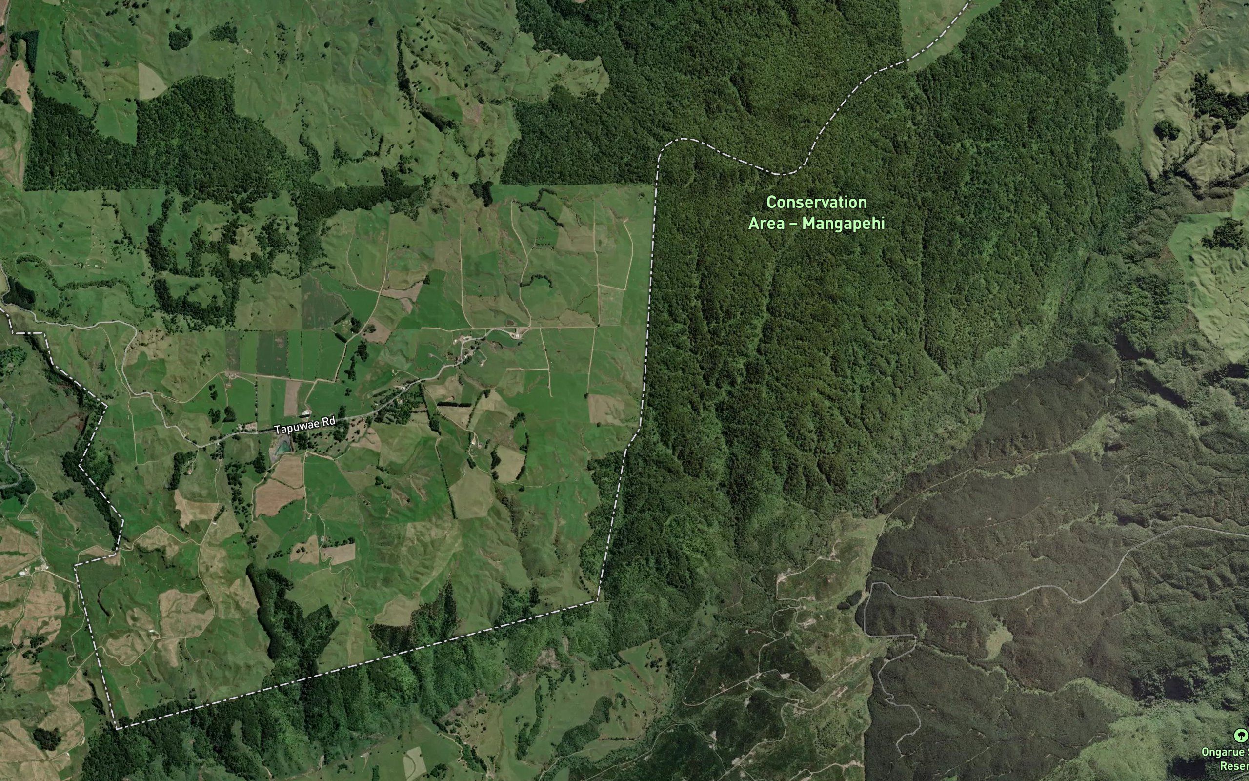Oruangungu Stream