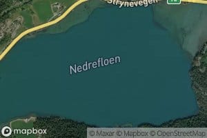 Nedrefloen